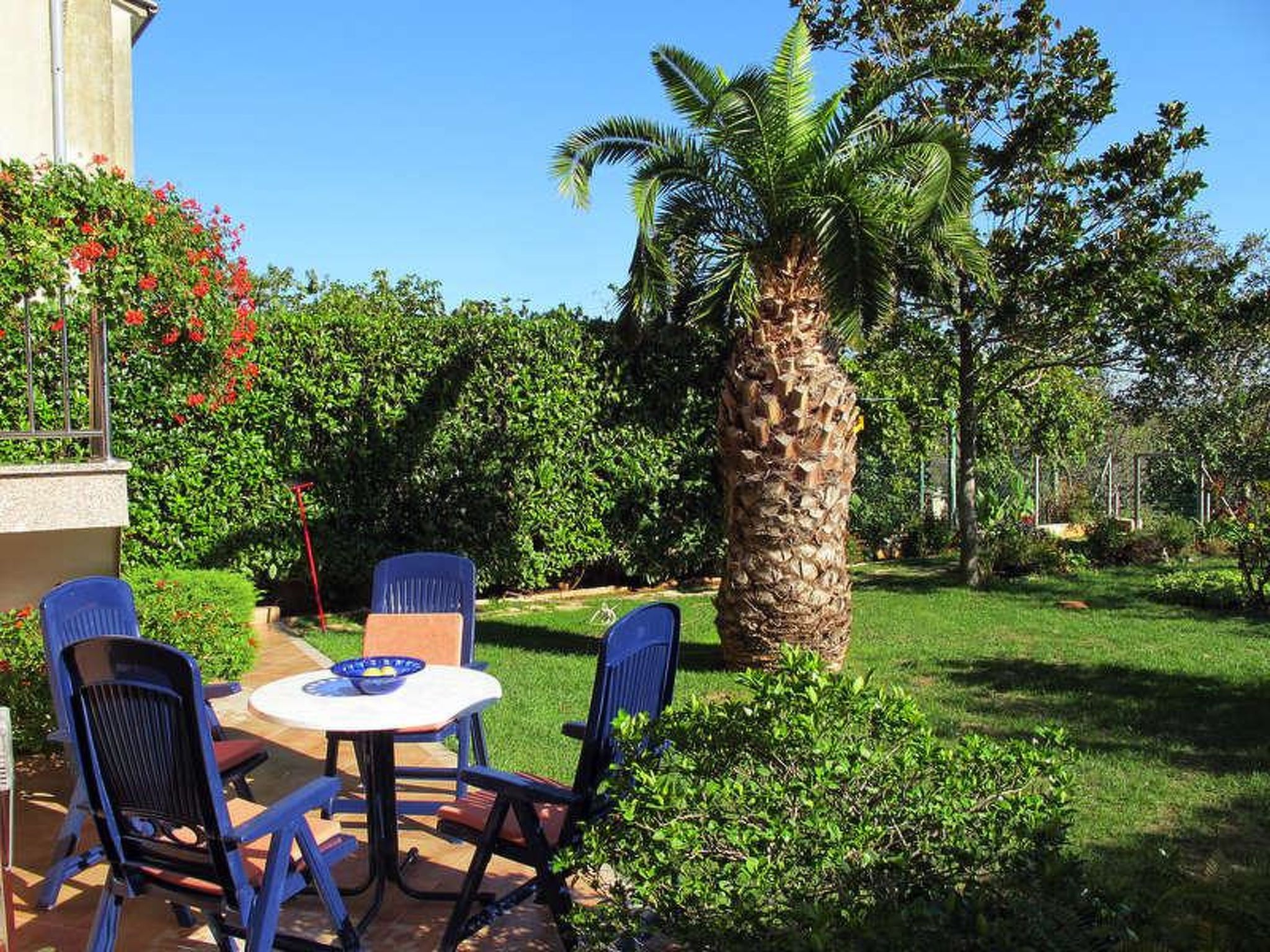 Photo of Apartment 979