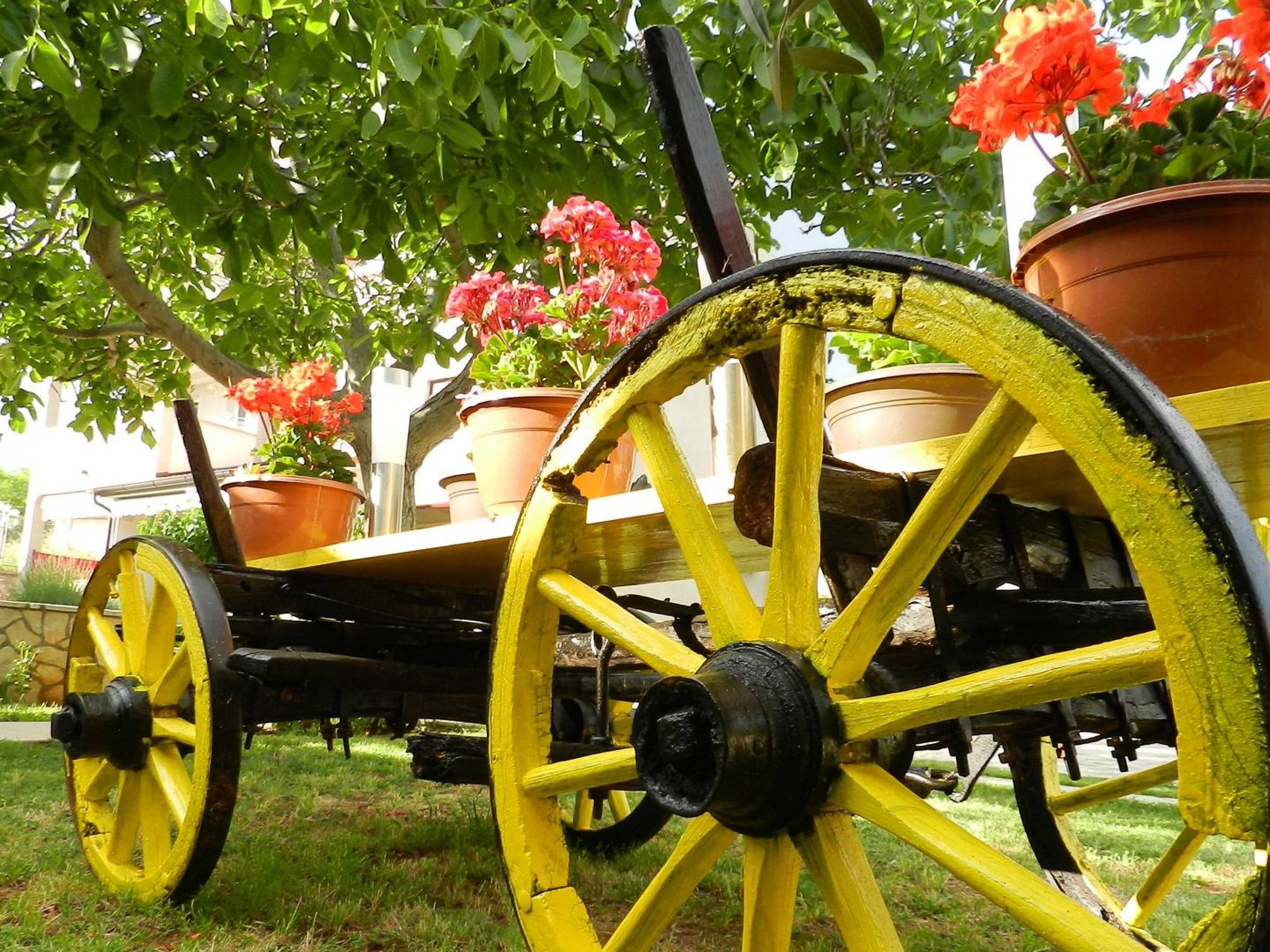 Photo of Apartment 1531