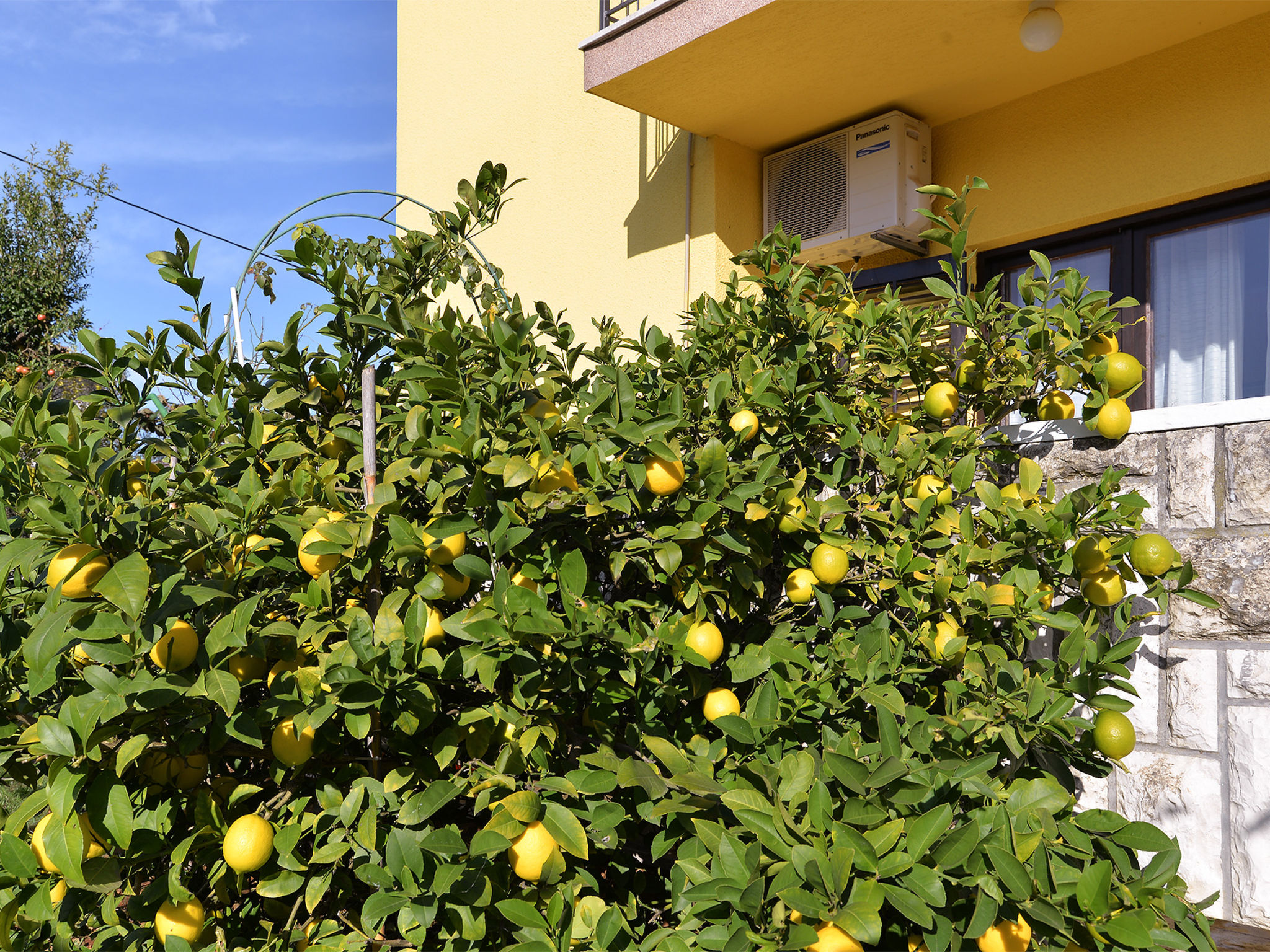 Photo of Apartment 1956