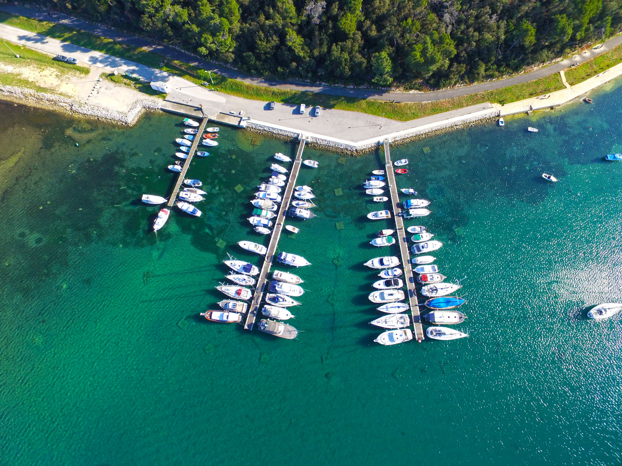 Photo of Apartment 1181