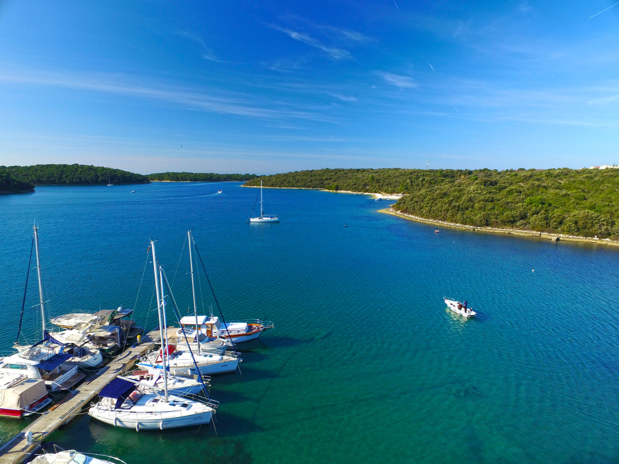 Photo of Apartment 1181