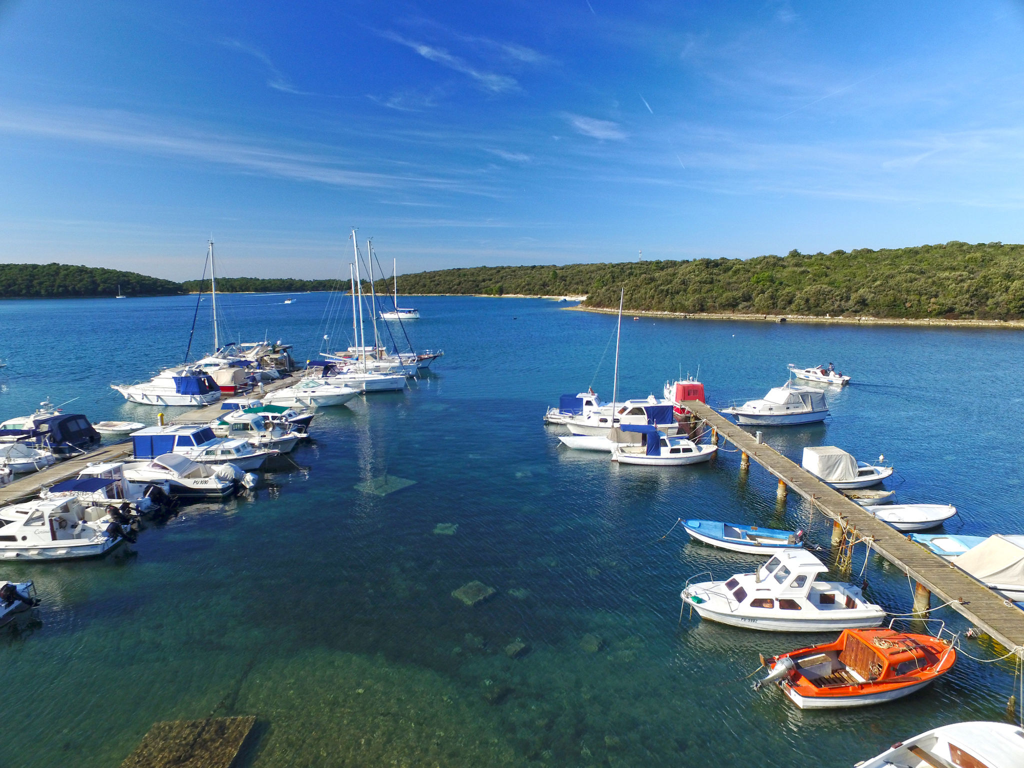 Photo of Apartment 1181