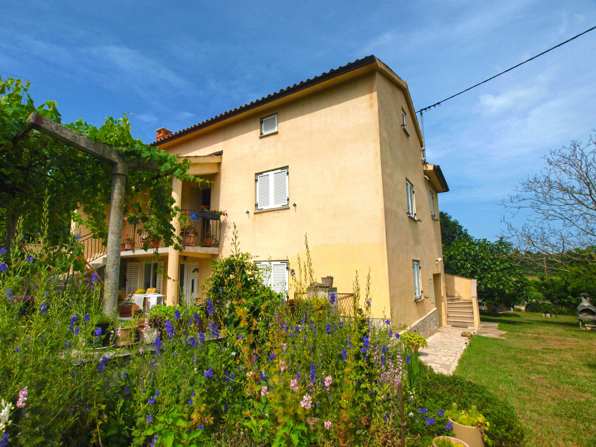 Photo of Apartment 1546