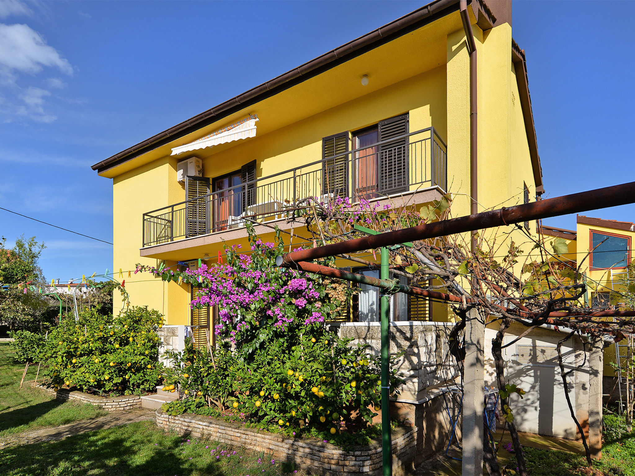 Photo of Apartment 1956