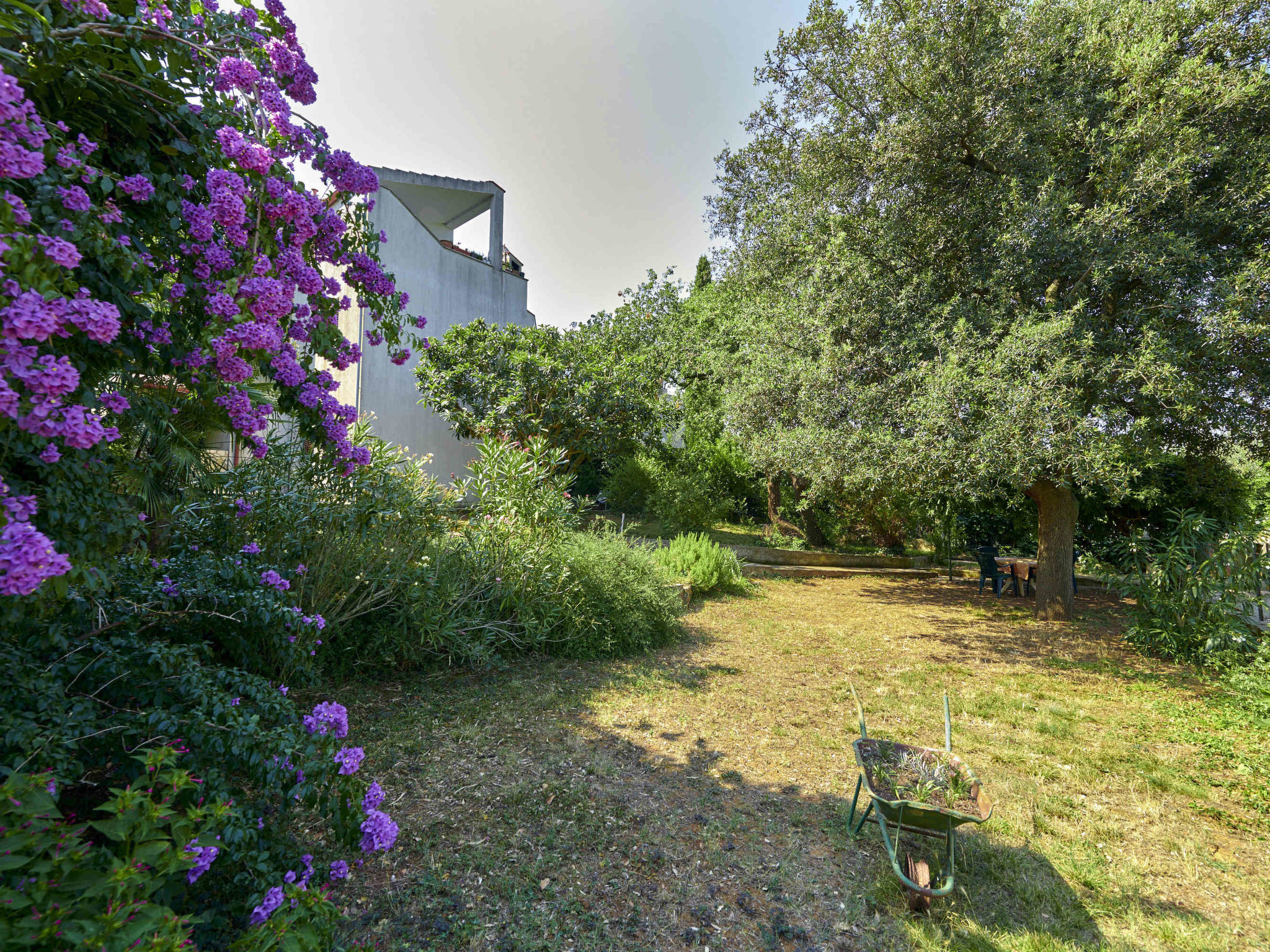 Photo of Apartment 1019