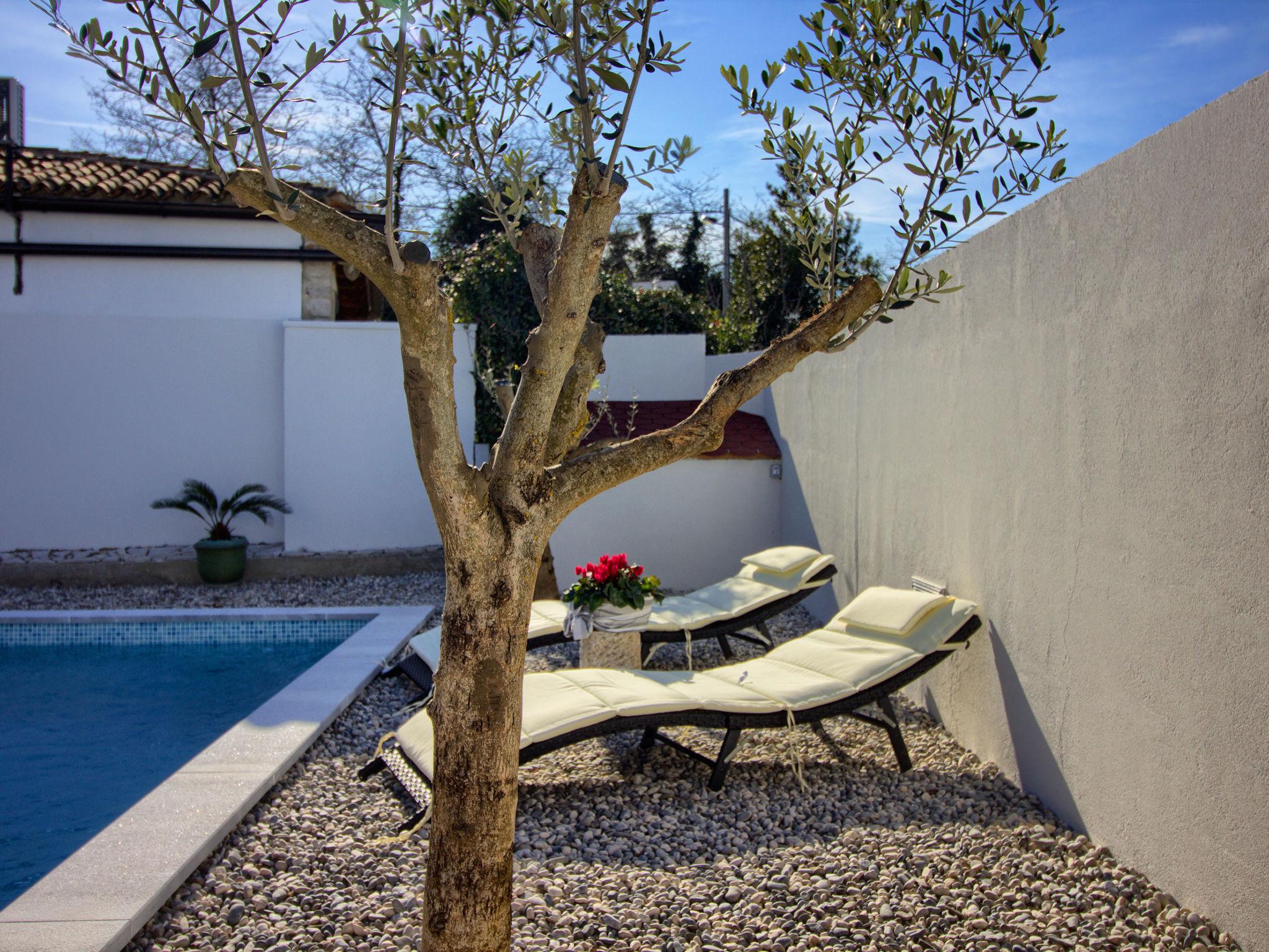 Photo of Villa Michelle