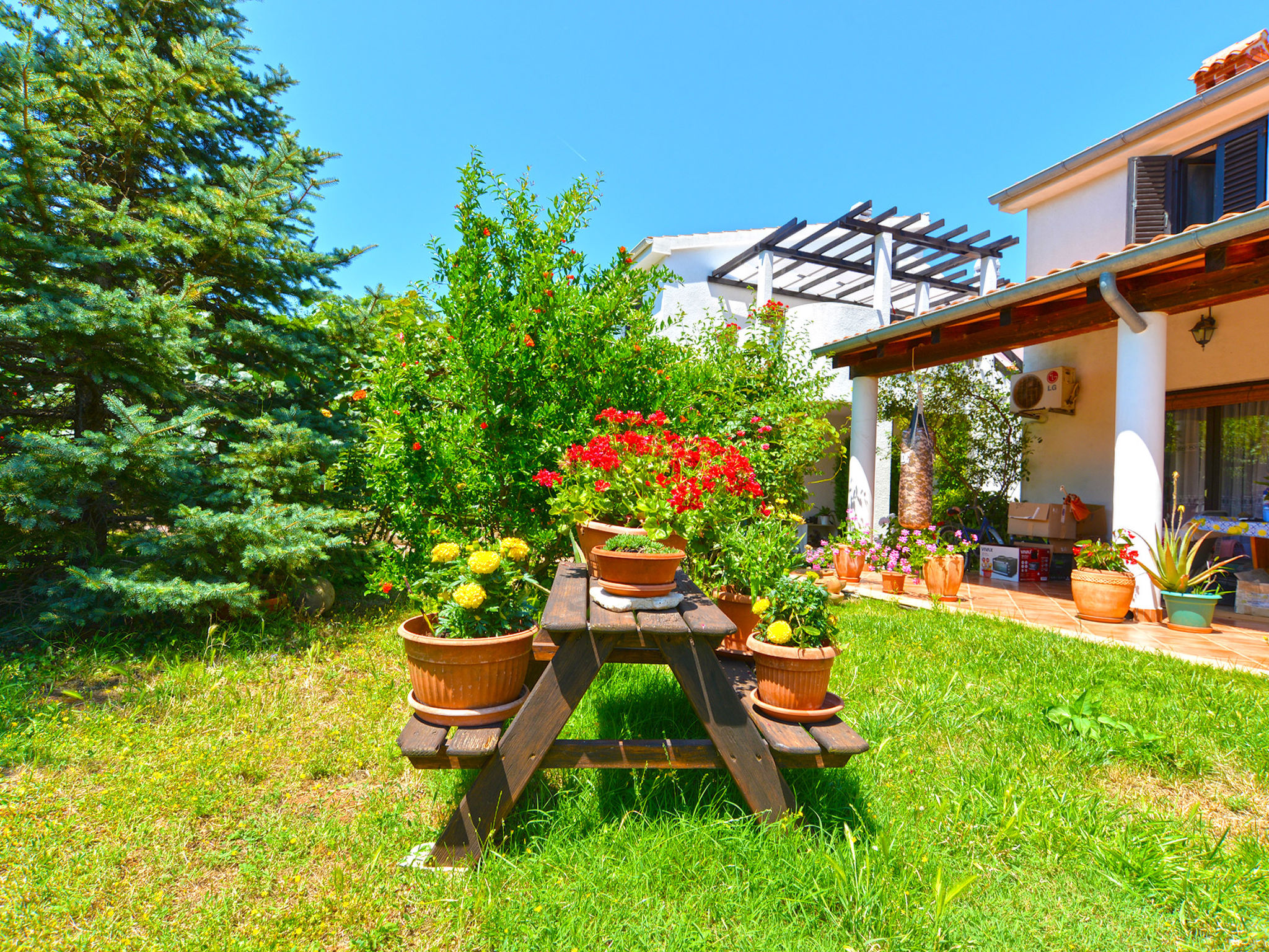 Photo of Apartment 1925