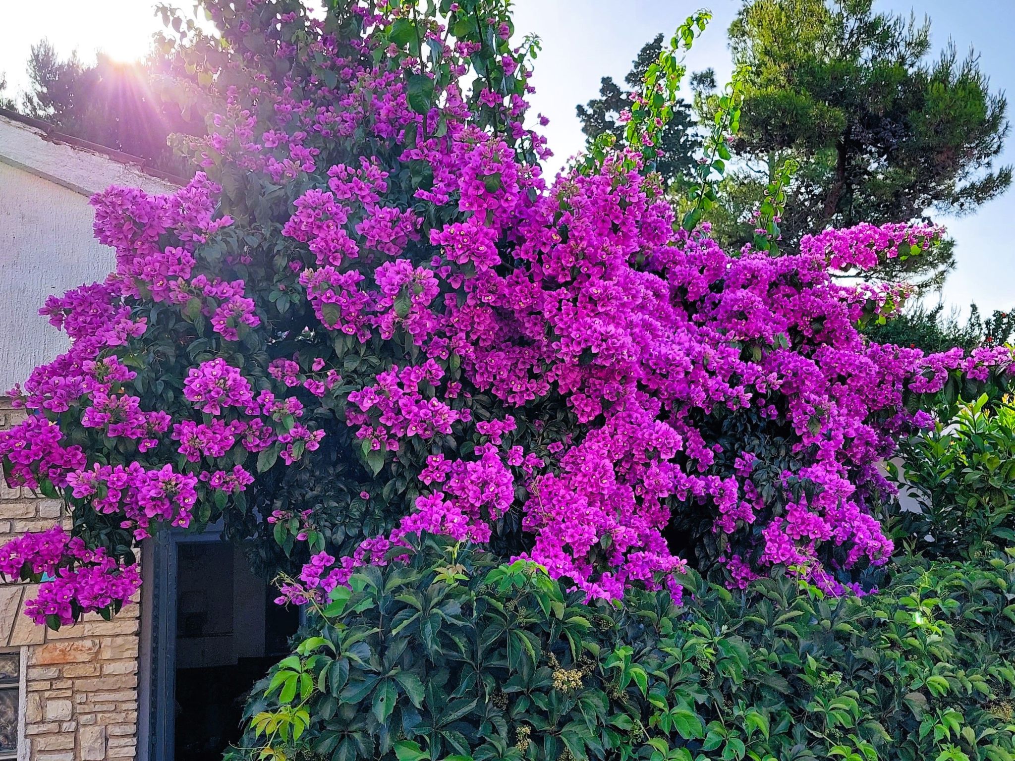 Zora - Rückzugsort für Familien-Draußen