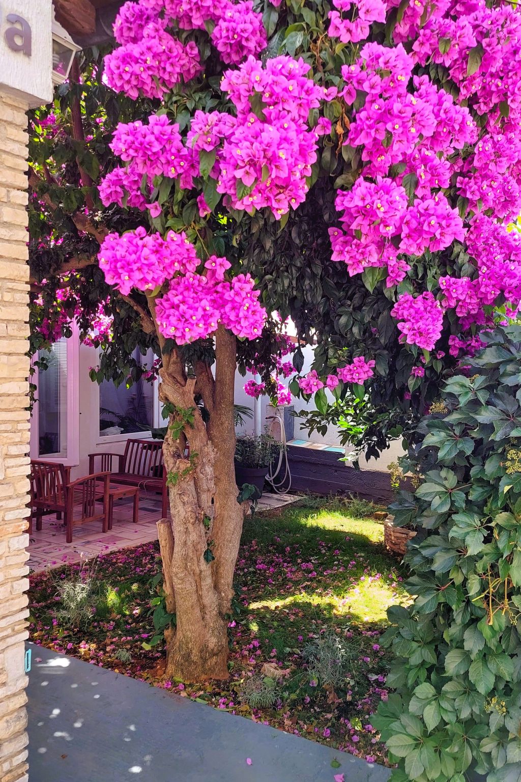 Zora - Rückzugsort für Familien-Draußen