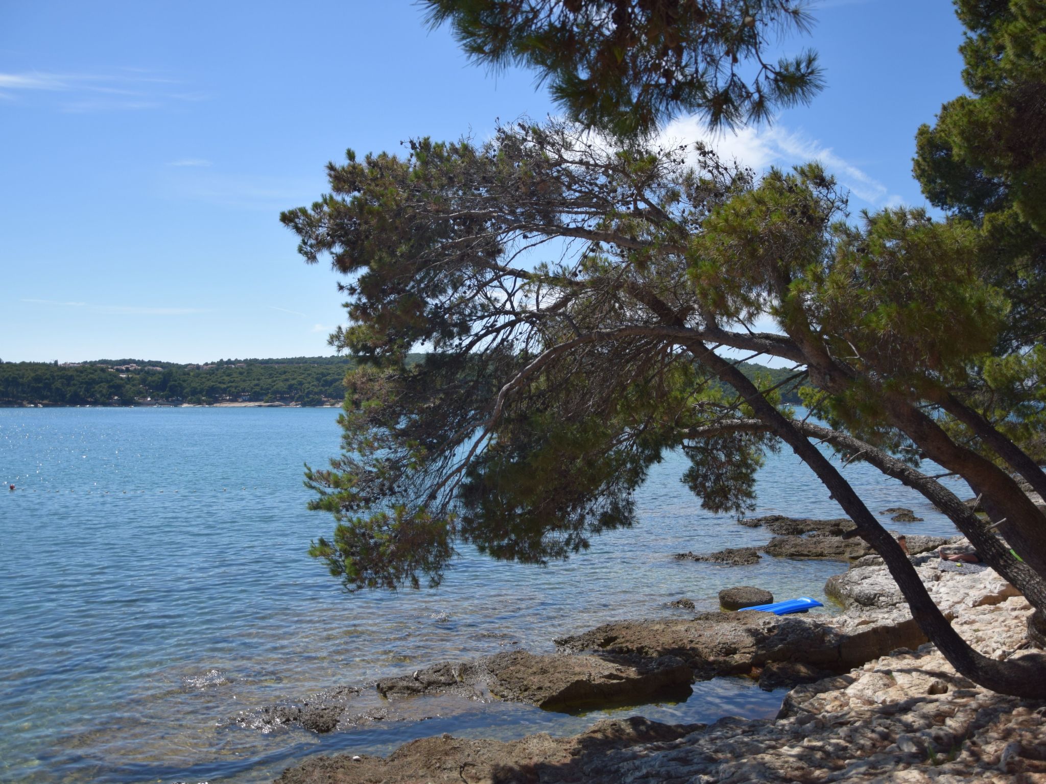 Haus Vukalovic-Inside