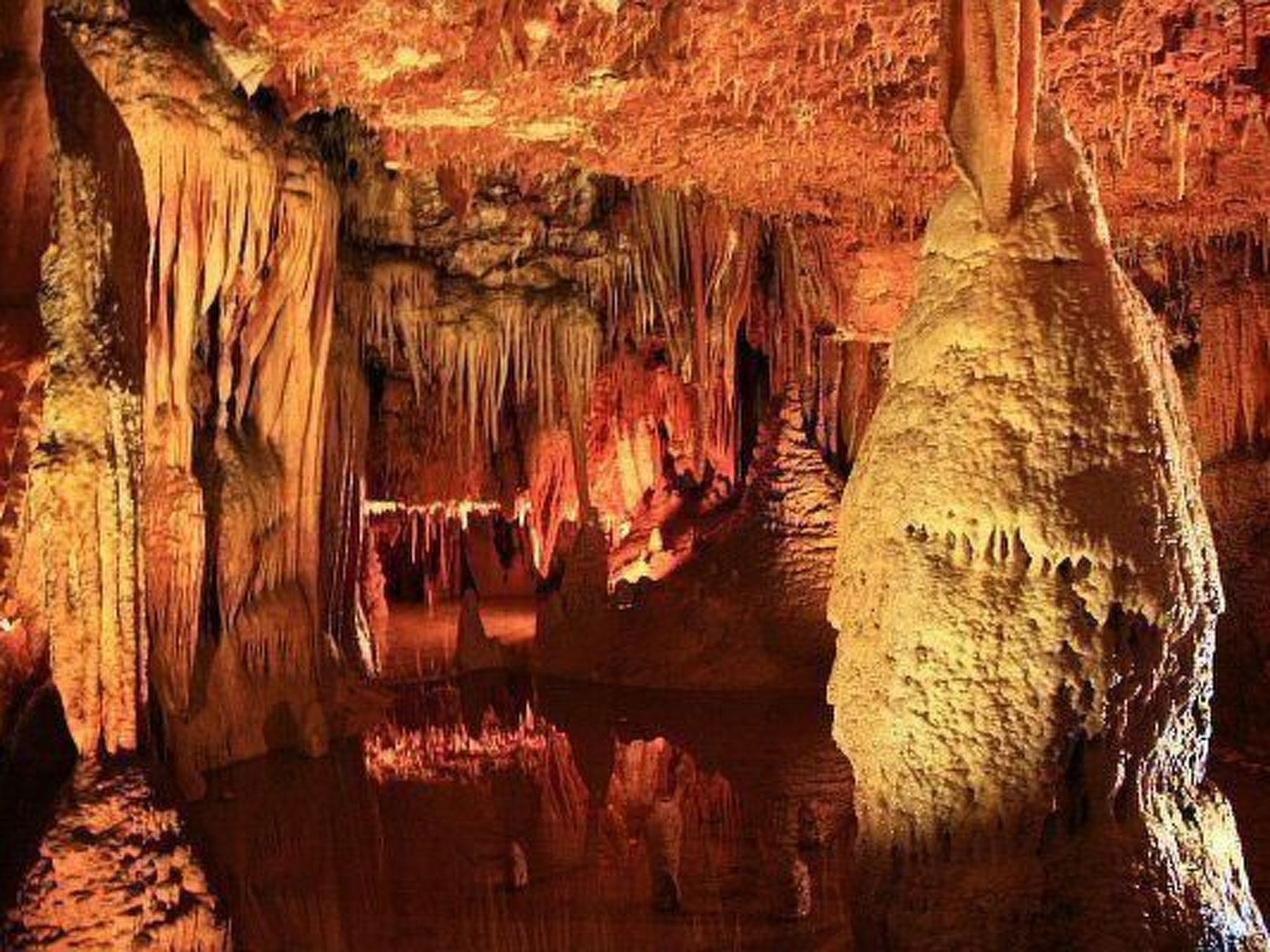 Apartments Vukalovic-Inside