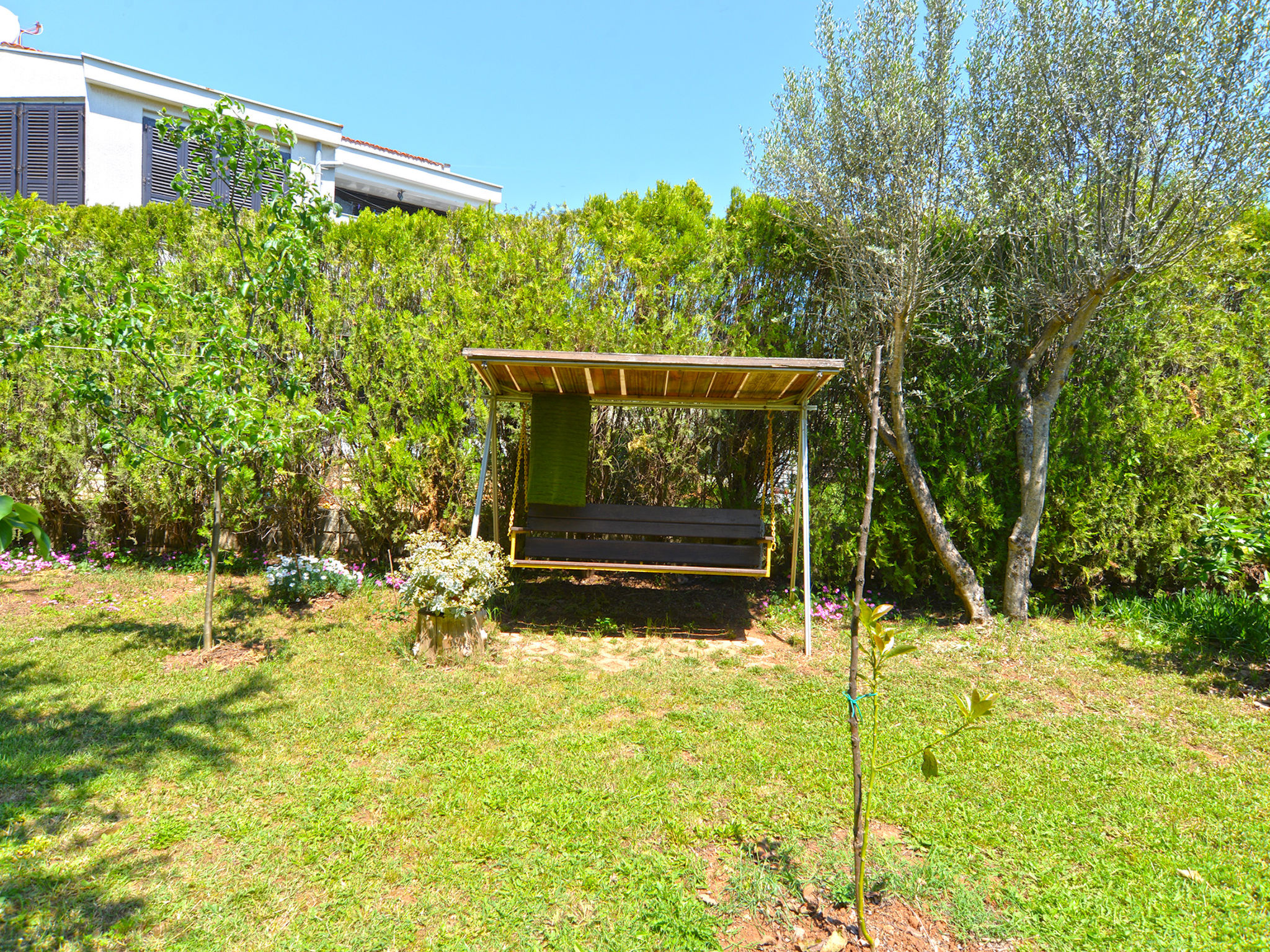 Photo of Apartment 667