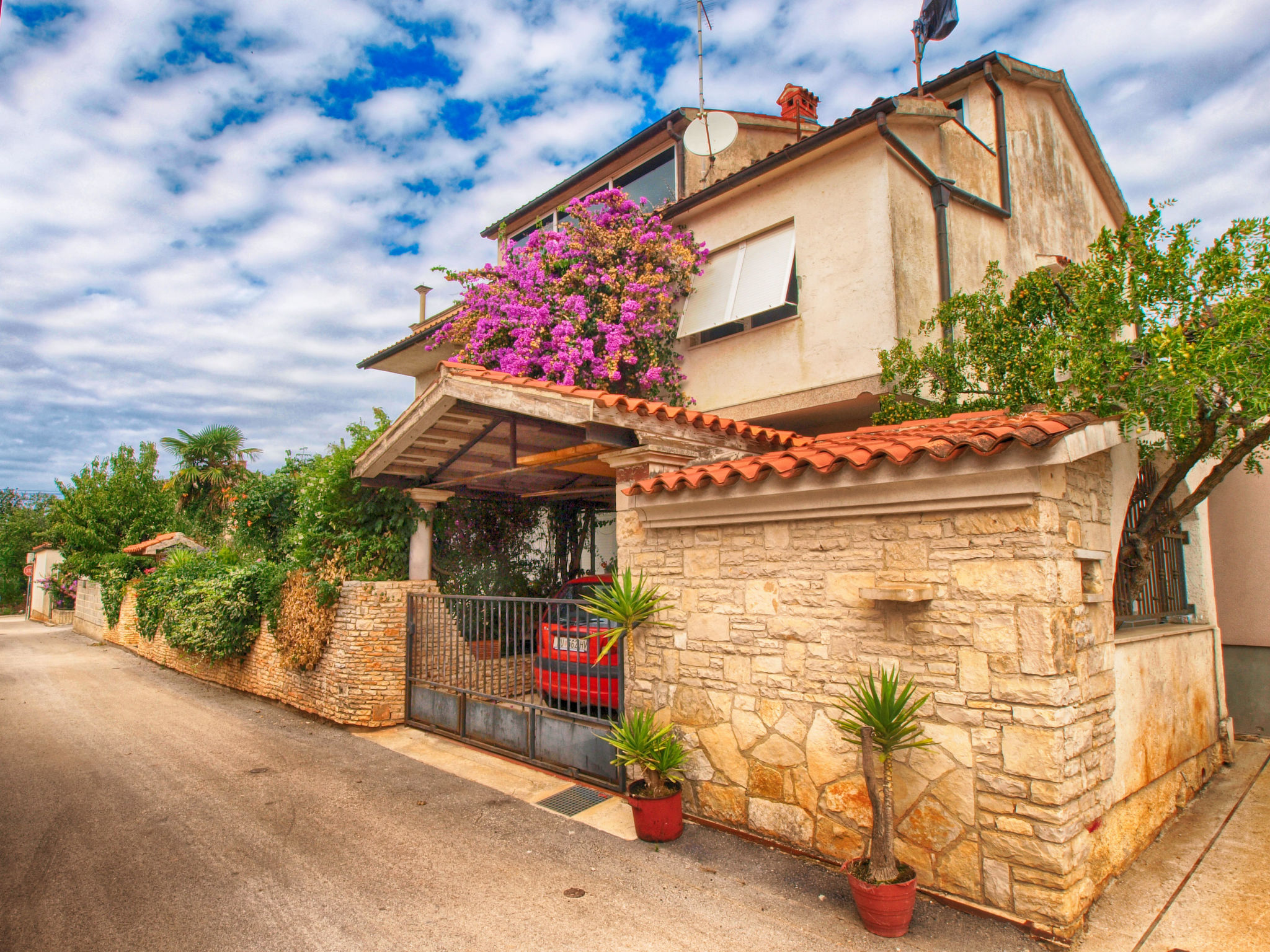 Photo of Apartment 977