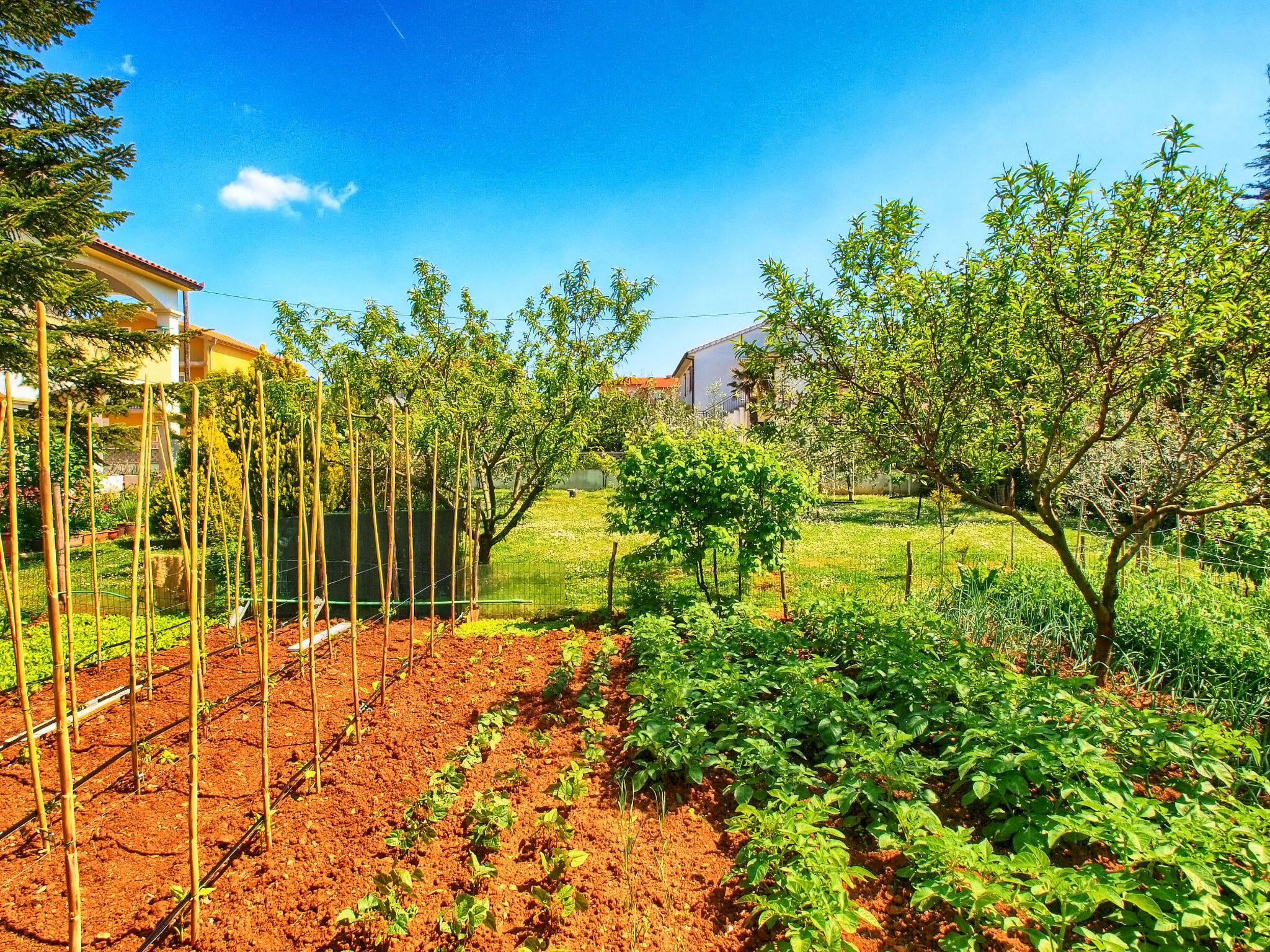 Apartment 1334 Accommodation in Medulin