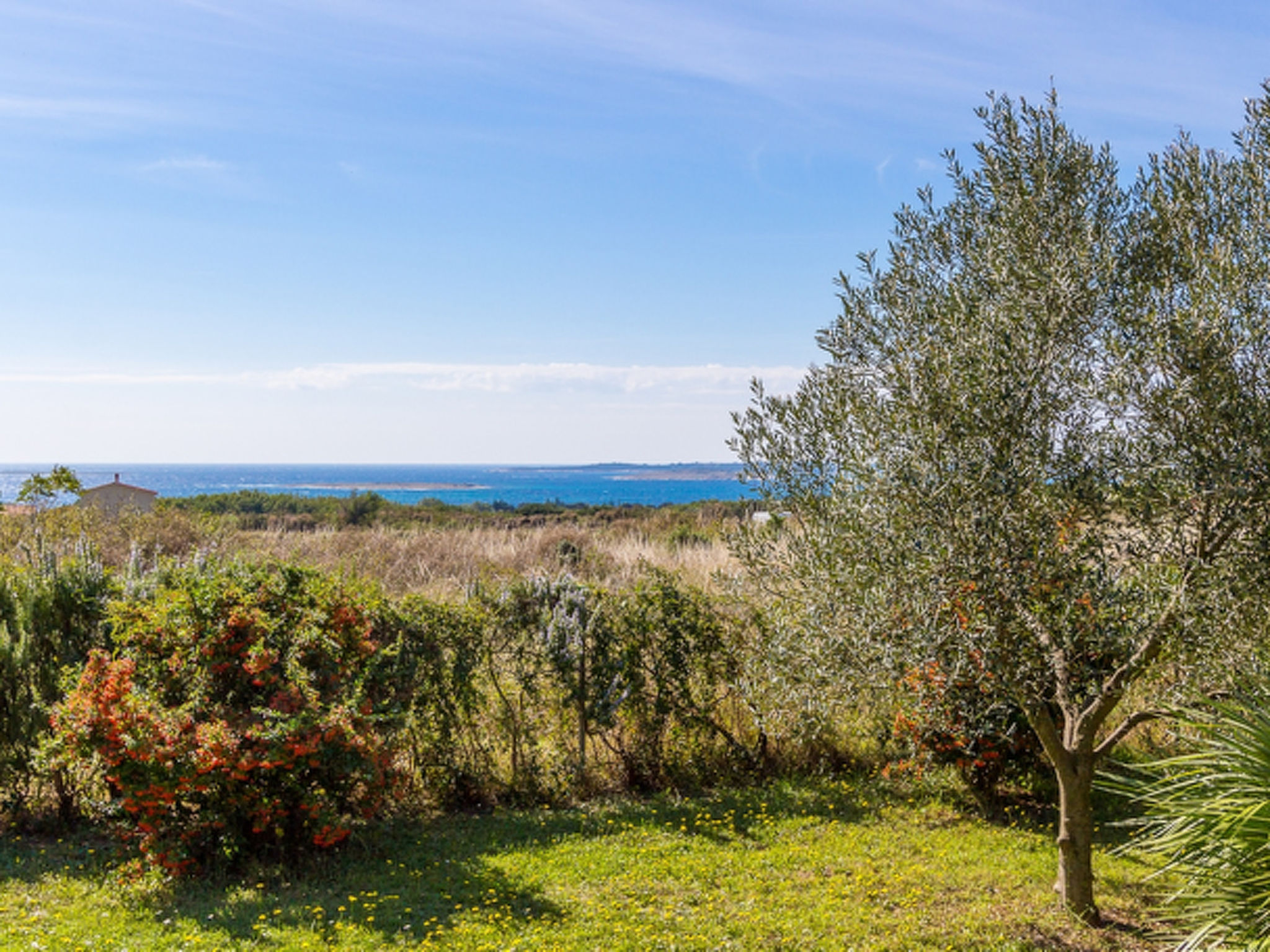 House 2131 Accommodation in Medulin