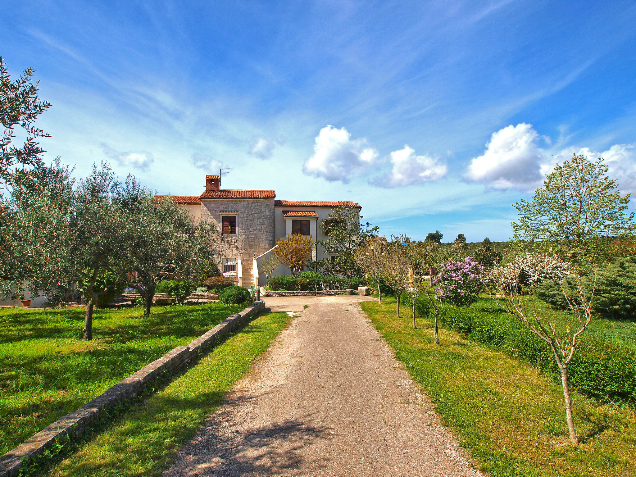 Photo of Apartment 944