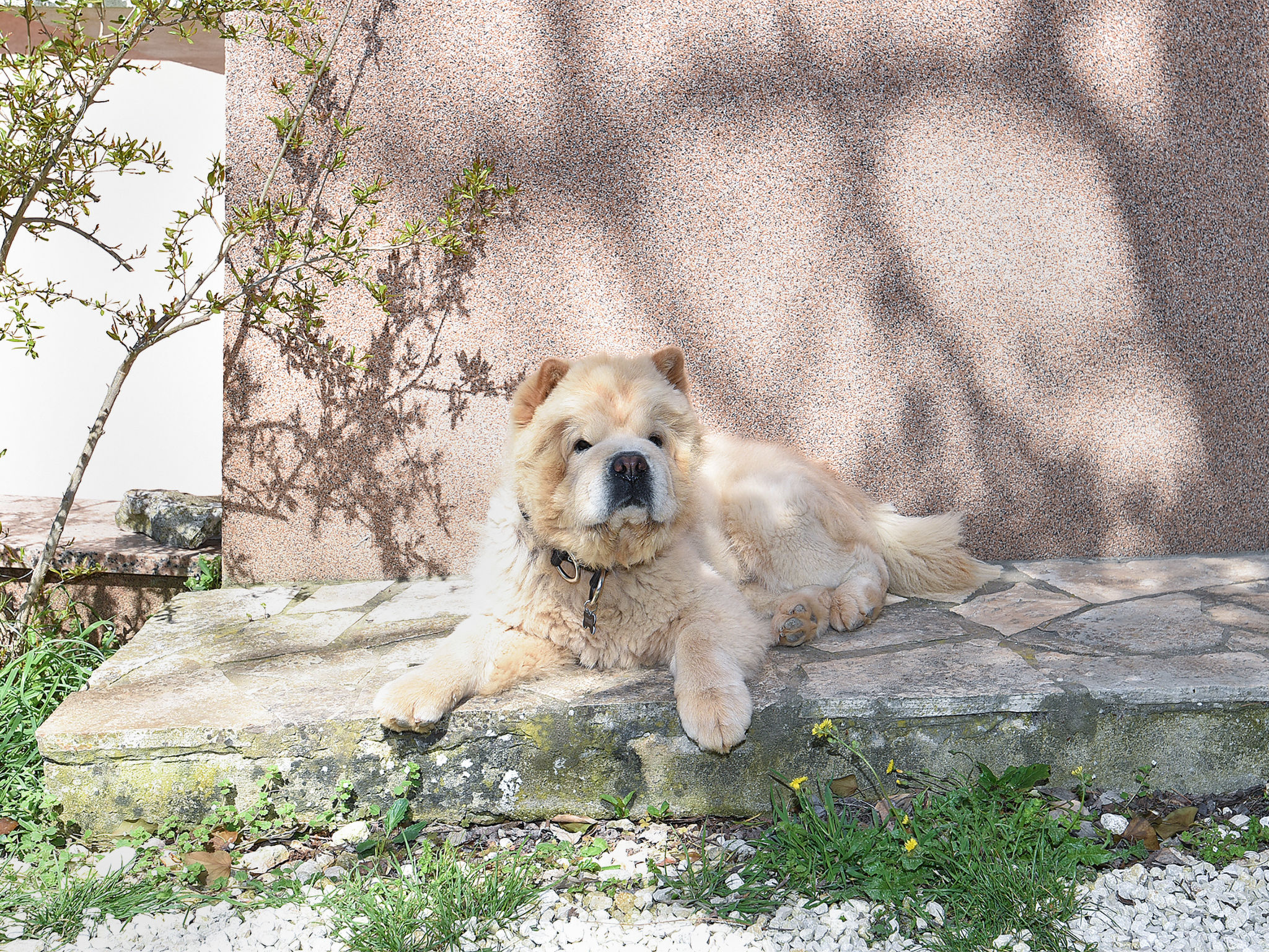 Photo of Apartment 2315