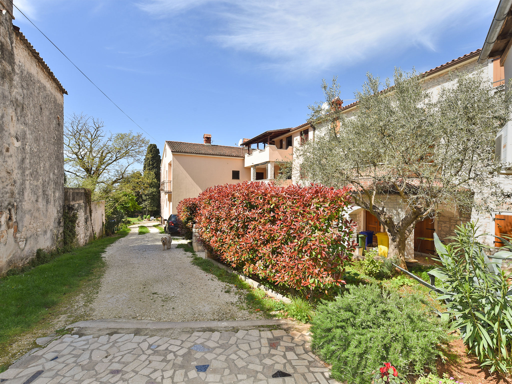 Photo of Apartment 2315