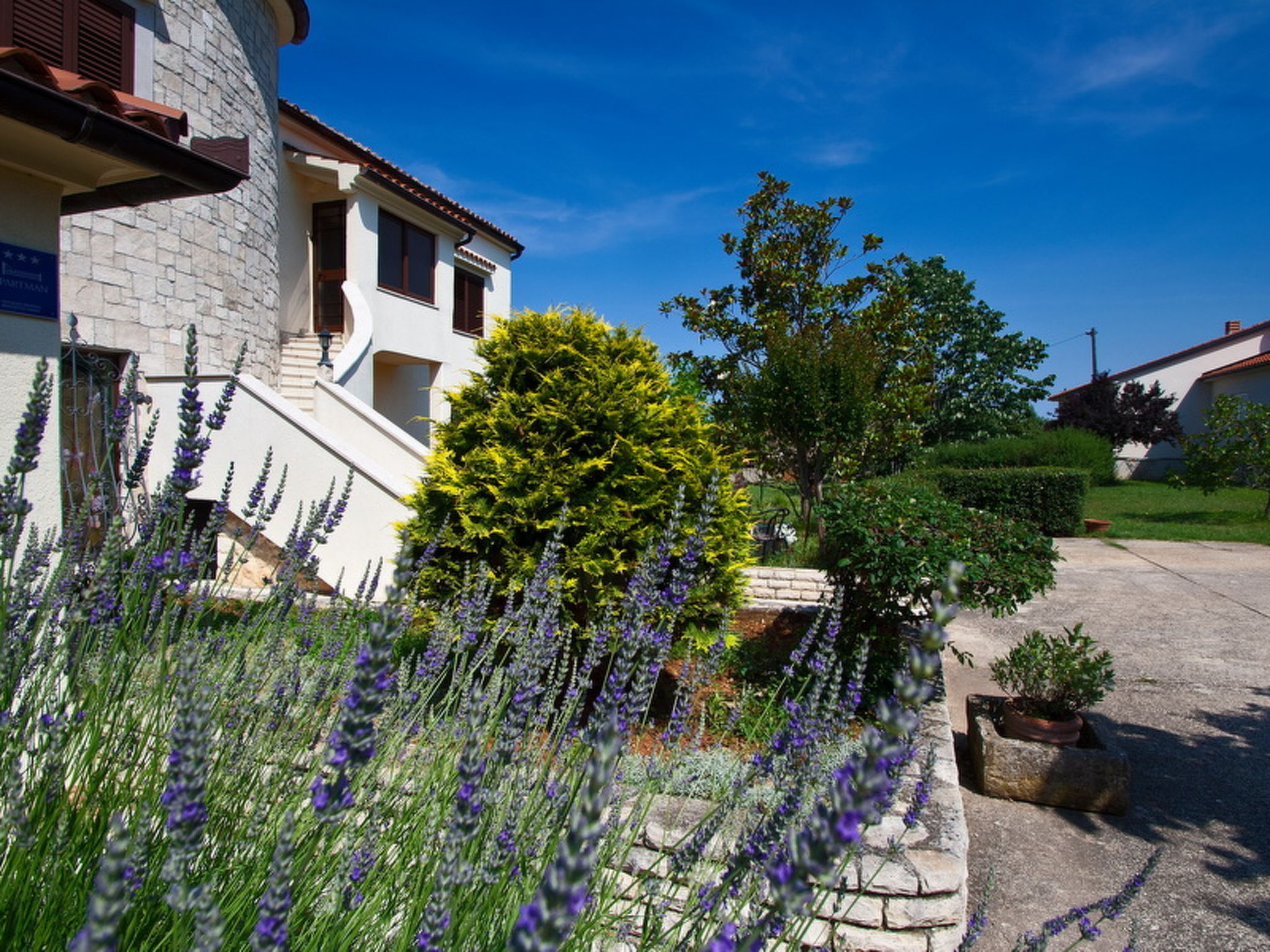 Photo of Apartment 944