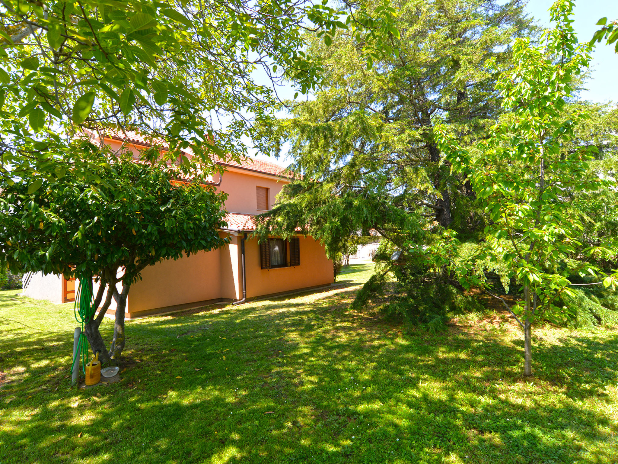 Photo of Apartment 667