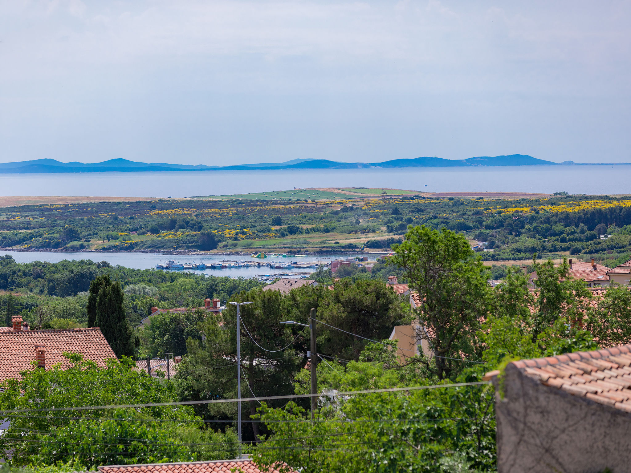 Photo of Duje & Mare