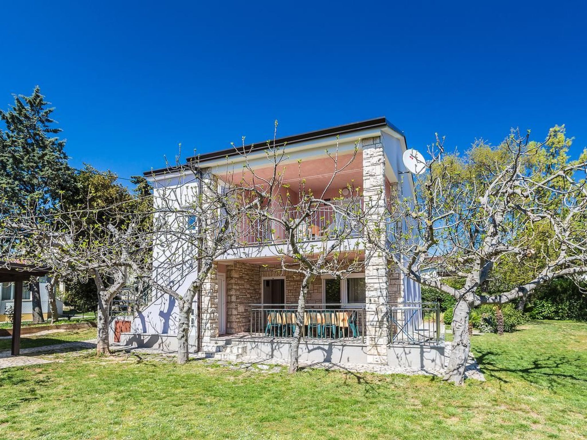 Photo of Alojzija - Mali