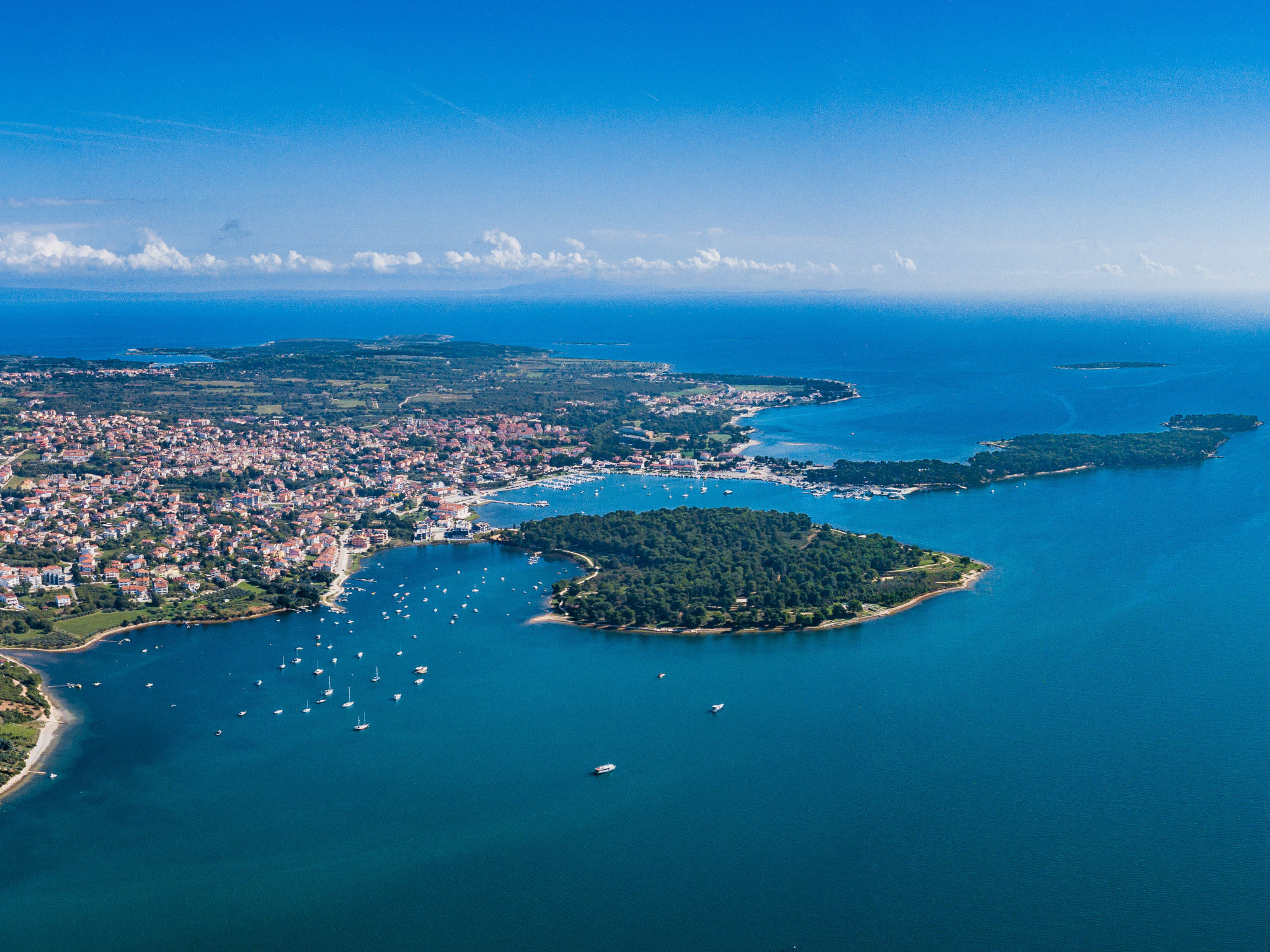 Photo of Marica - Ankica