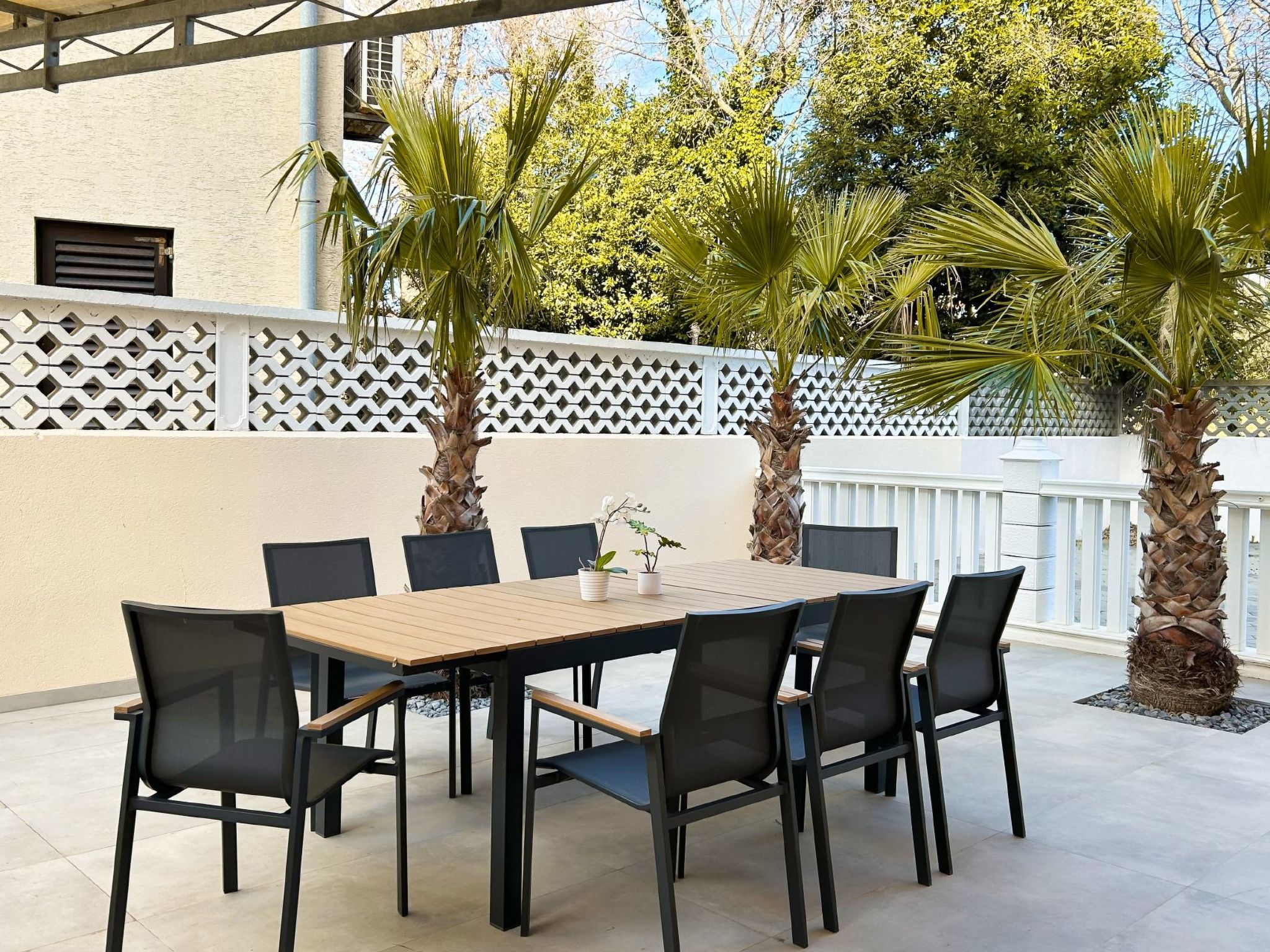 Photo of Palms Medulin