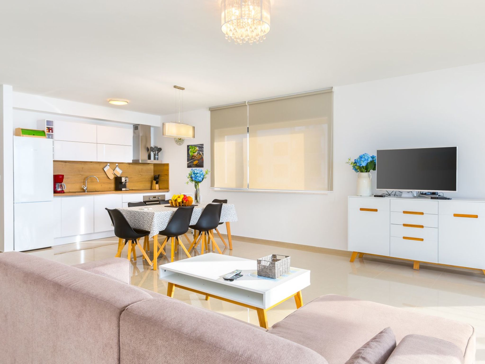 Photo of Vizula - Aurelia Maris