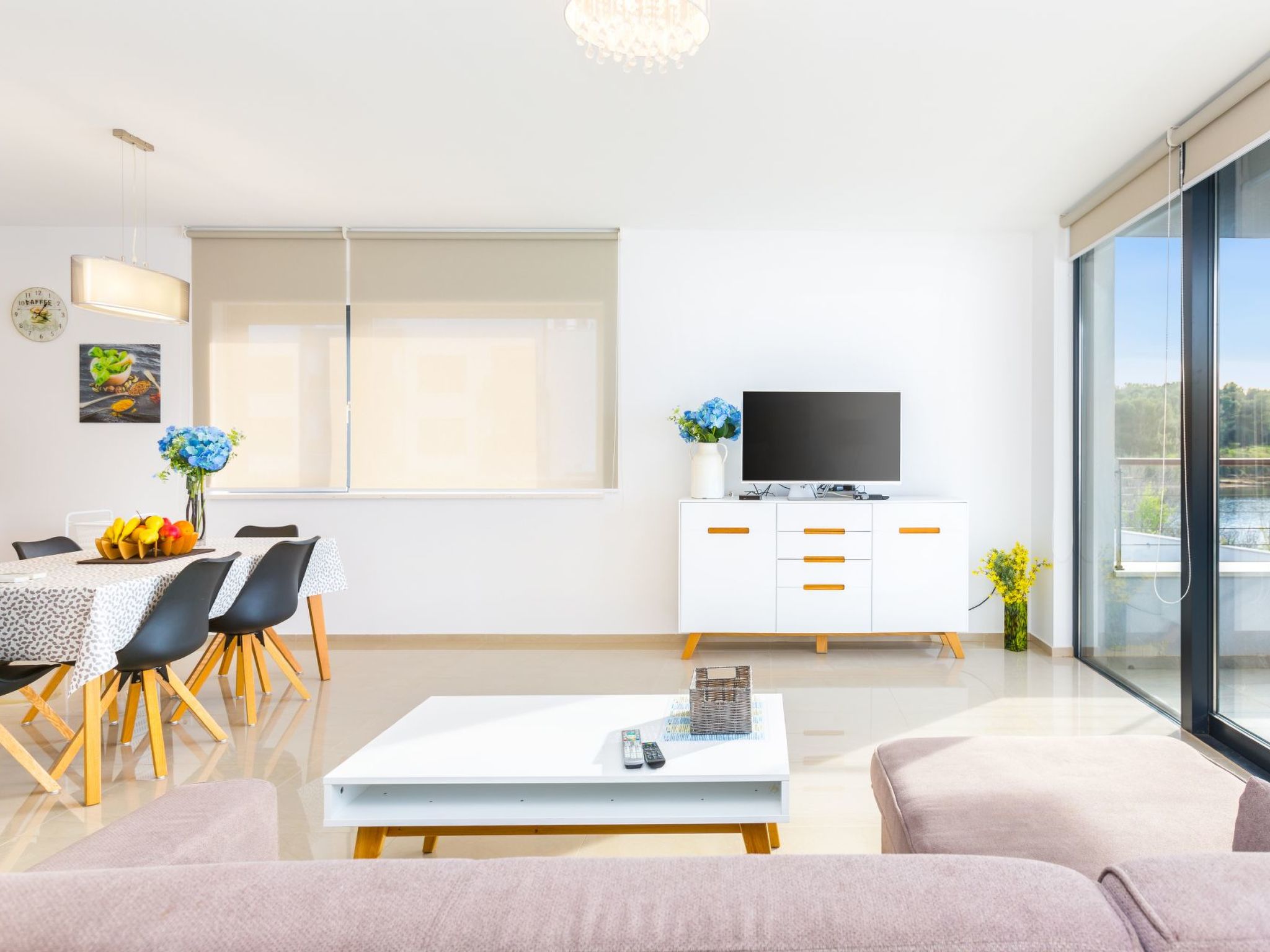 Photo of Vizula - Aurelia Maris