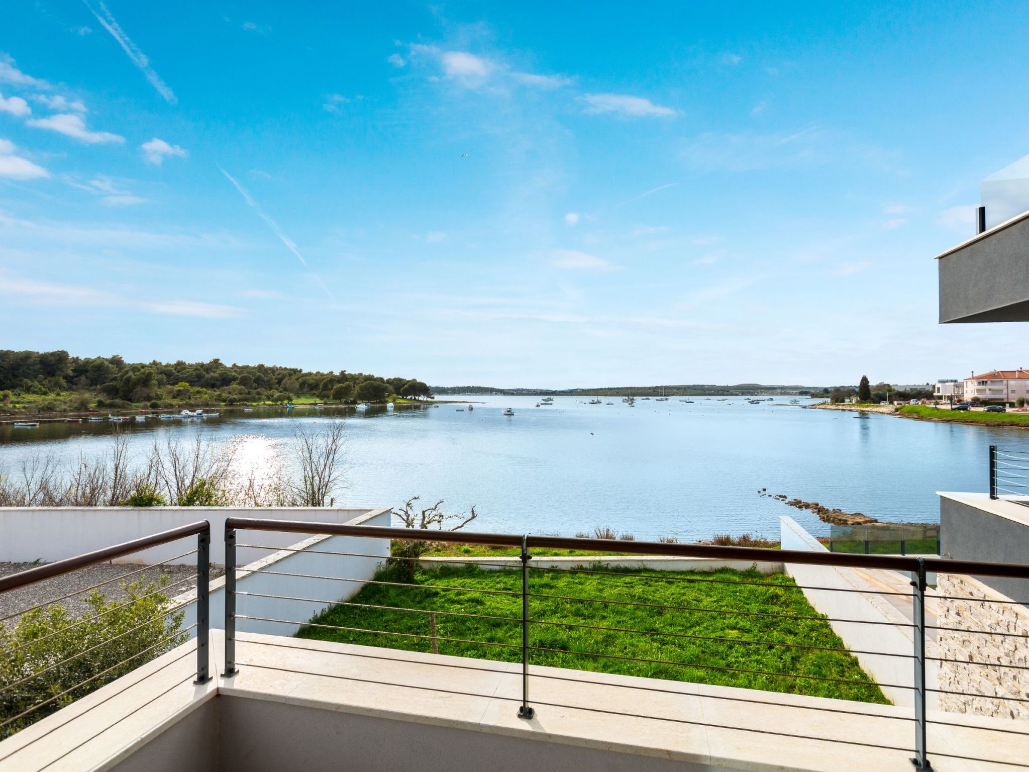 Photo of Vizula - Aurelia Maris