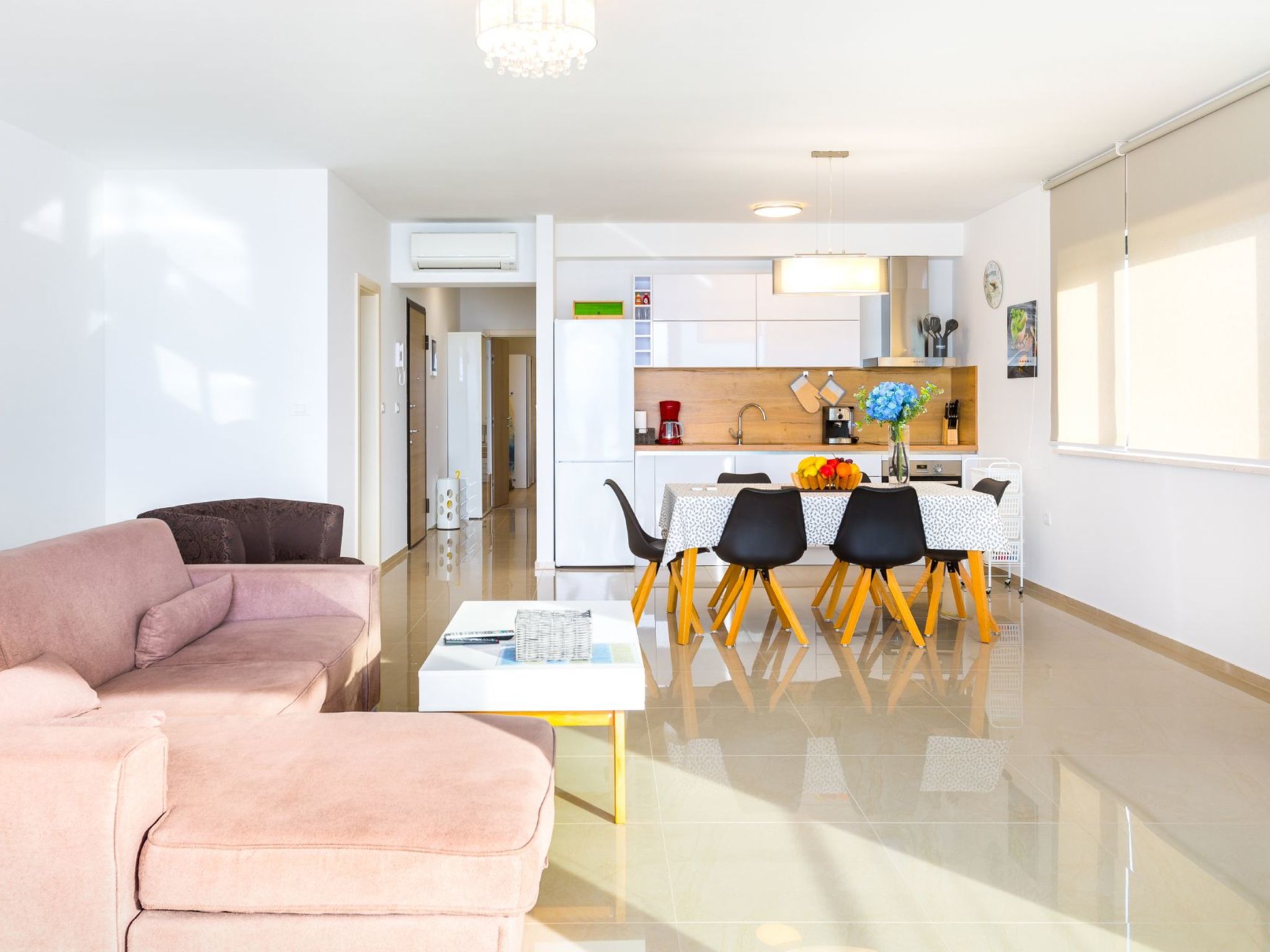 Photo of Vizula - Aurelia Maris