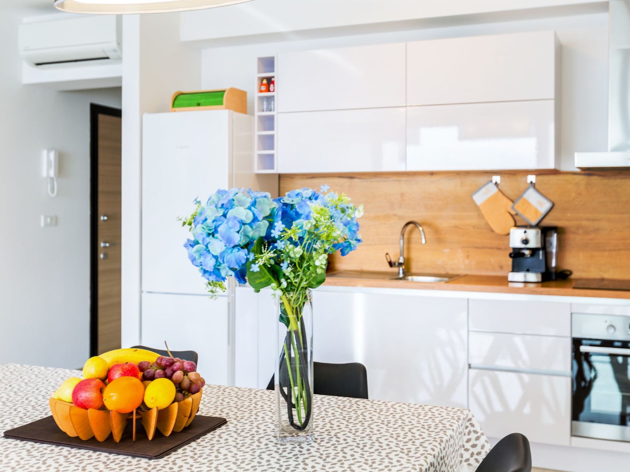 Photo of Vizula - Aurelia Maris