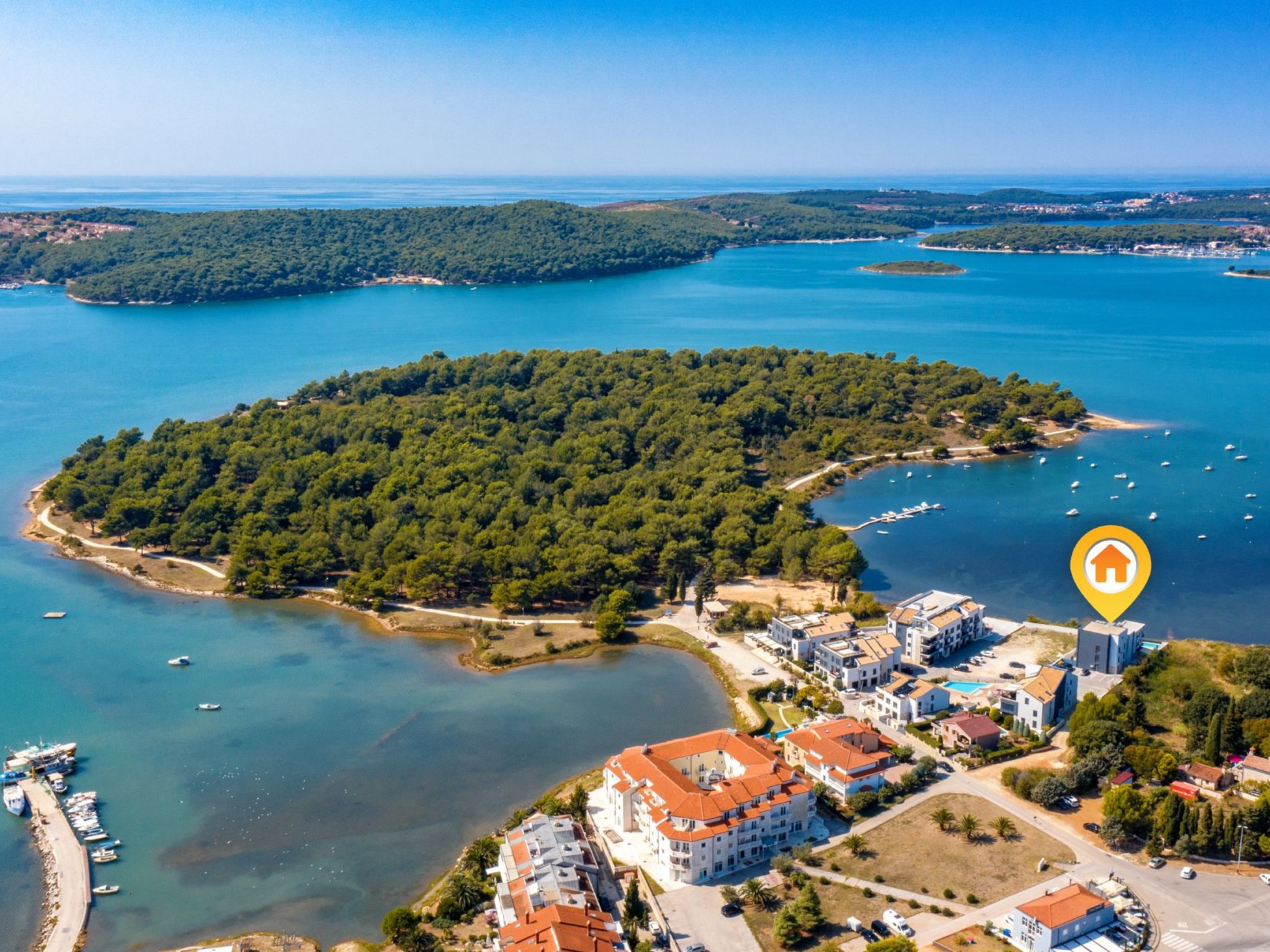 Photo of Vizula - Aurelia Maris