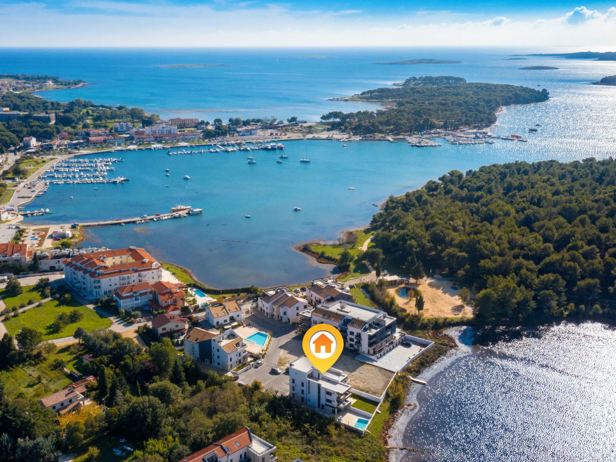 Photo of Vizula - Aurelia Maris