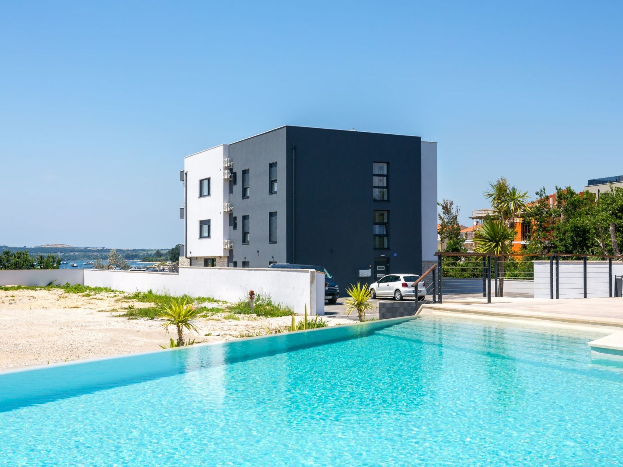 Photo of Vizula - Aurelia Maris