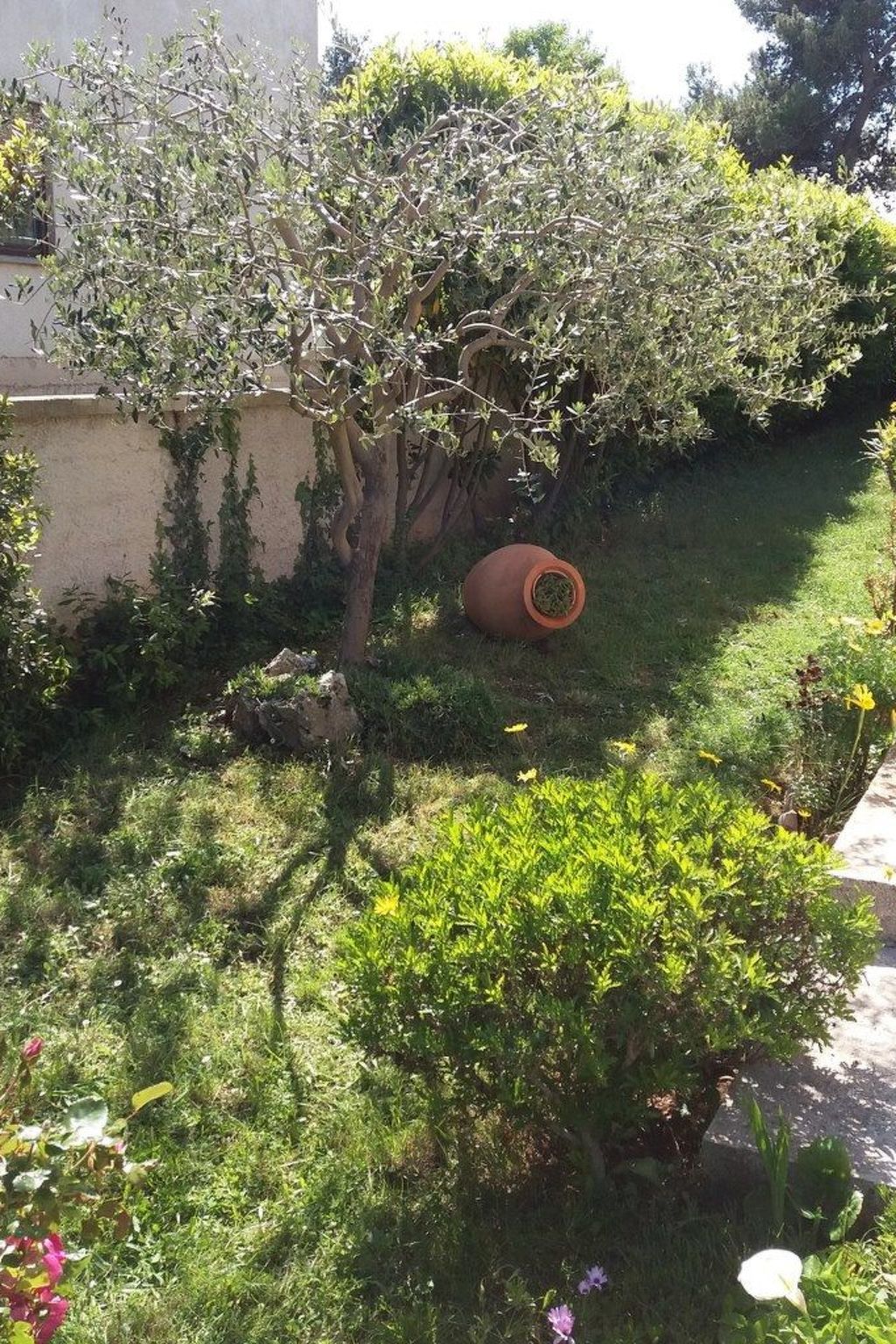 Photo of Wohnung mit privatem Garten