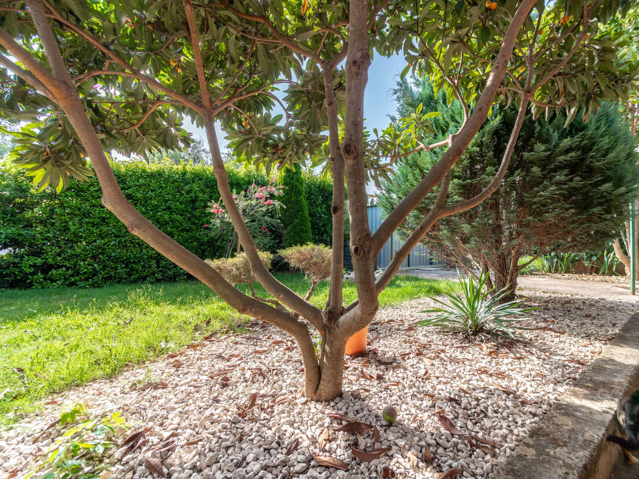 "Arijana1" mit privater Terrasse-Binnen