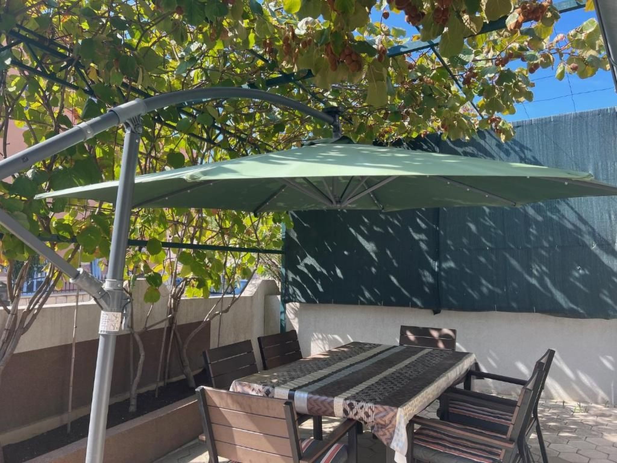 "Kiwi" mit Whirlpool