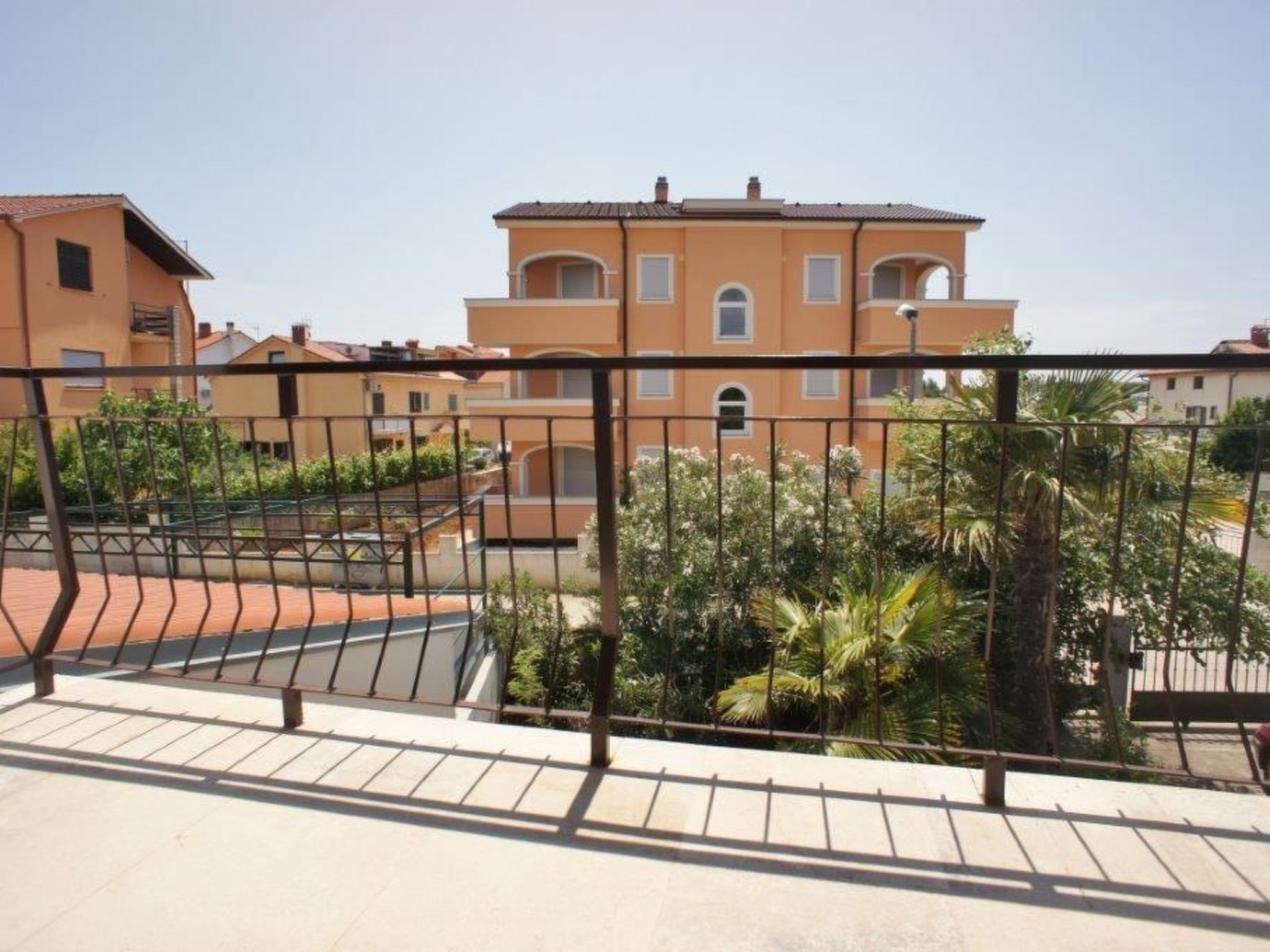 Photo of Mirela Fucane