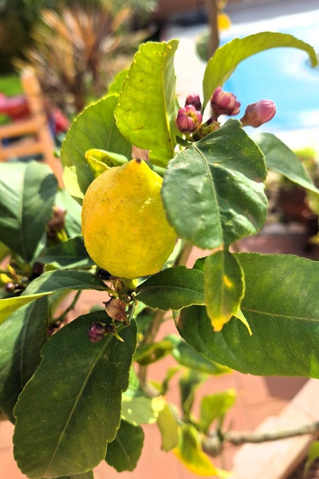 Photo of mit Pool in Istrien