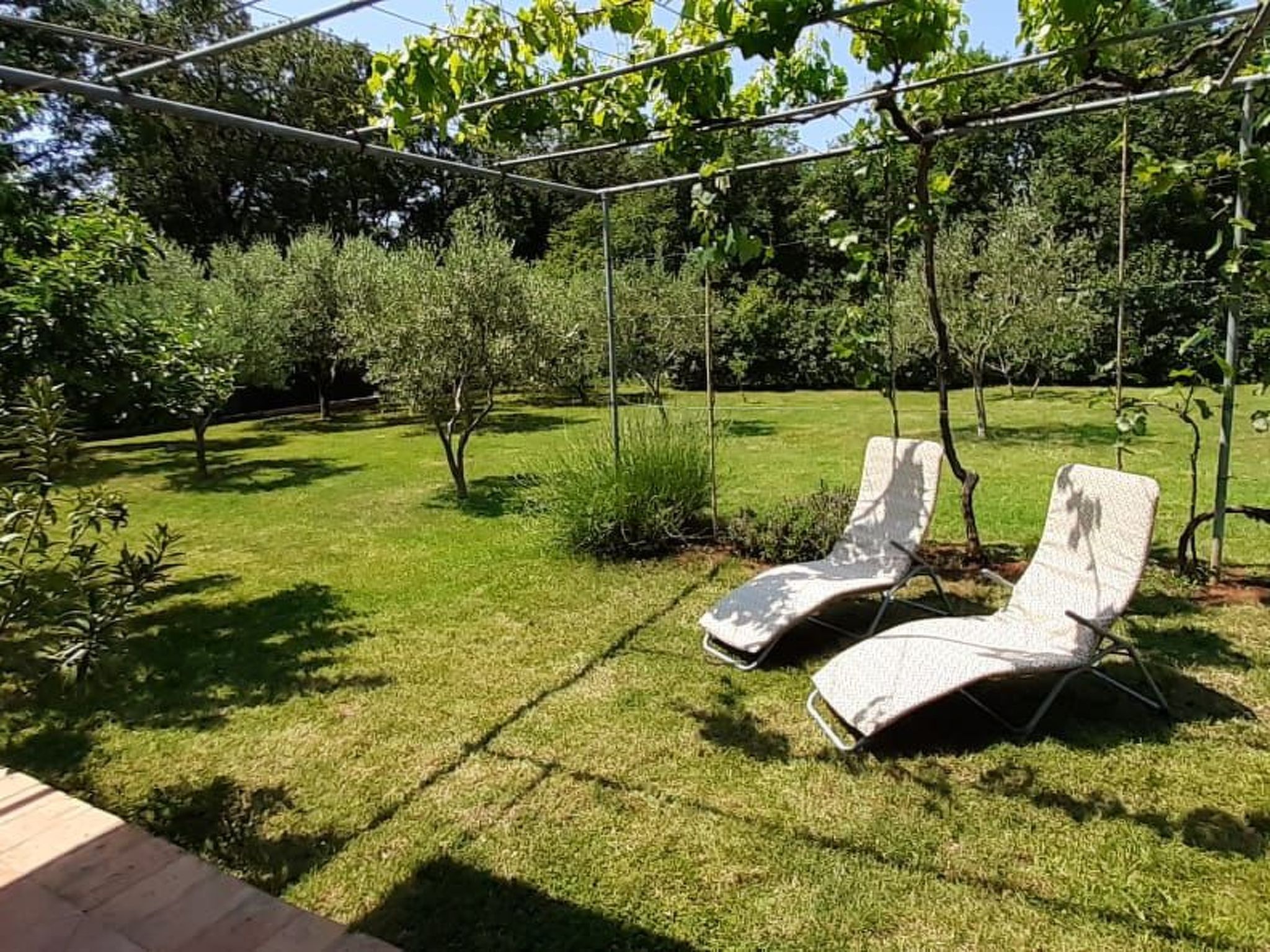 Mit schönem Garten und Sonnenterrasse-Binnen