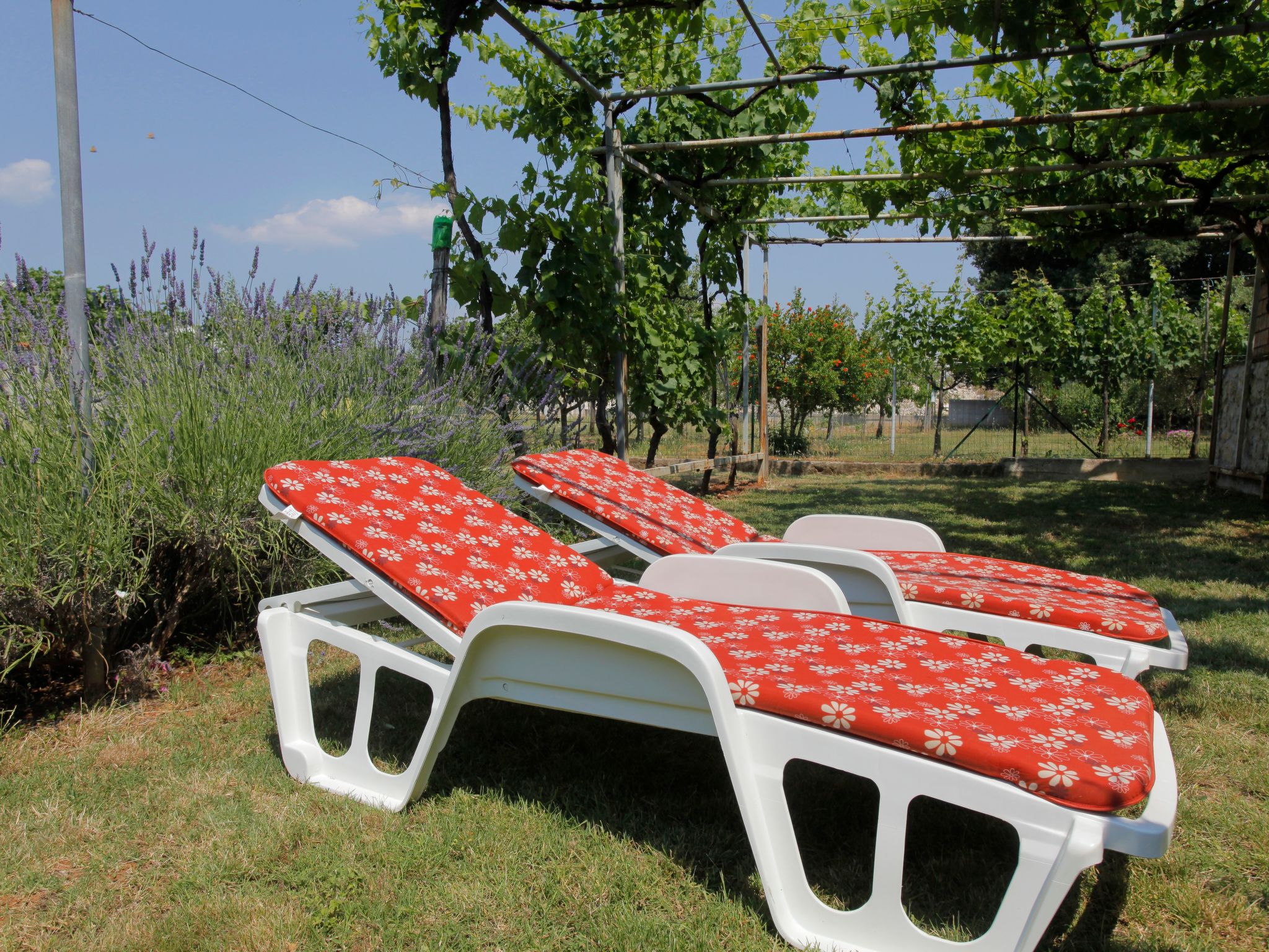 Mit schönem Garten und Sonnenterrasse-Binnen