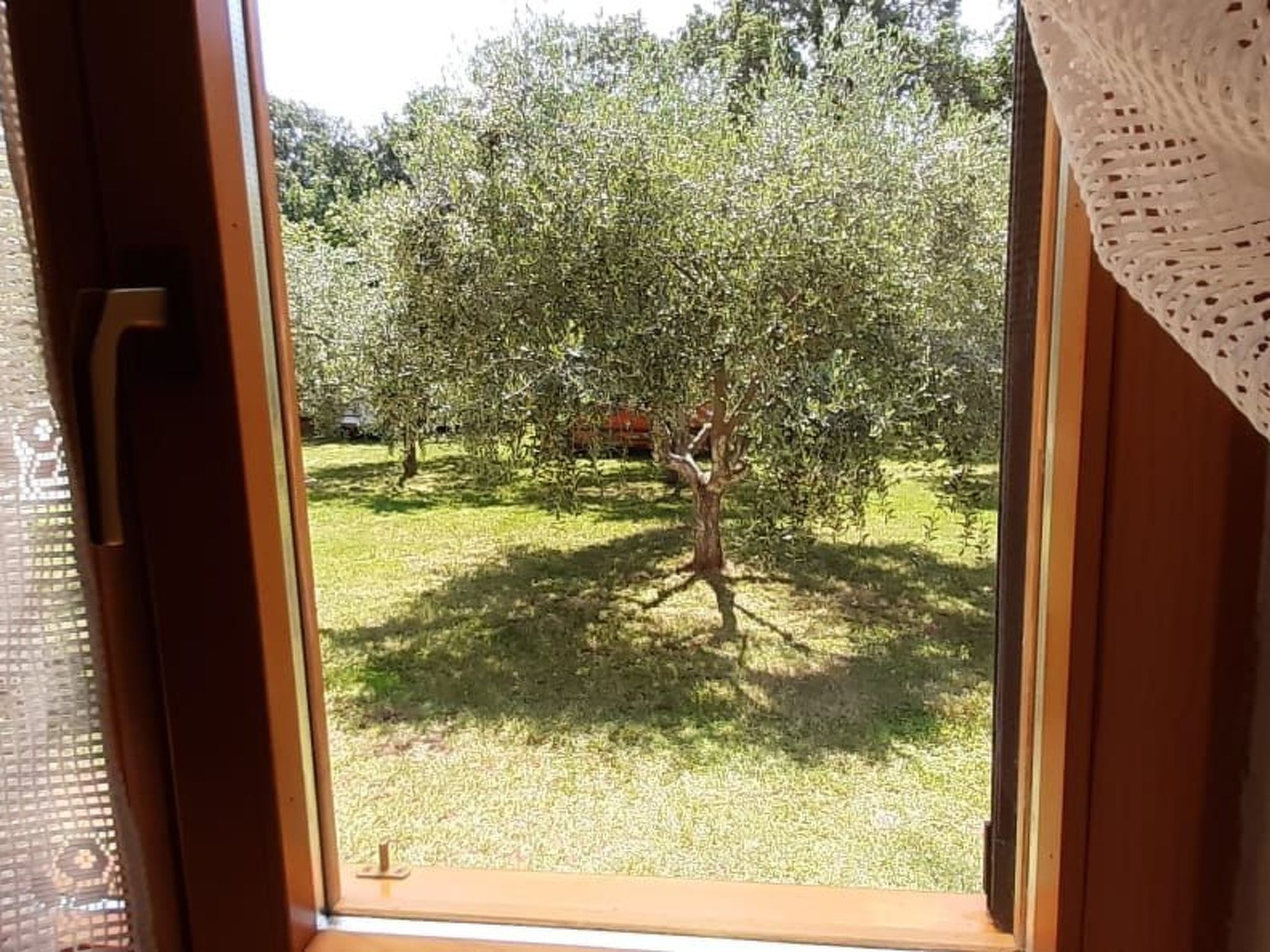 Mit schönem Garten und Sonnenterrasse-Binnen