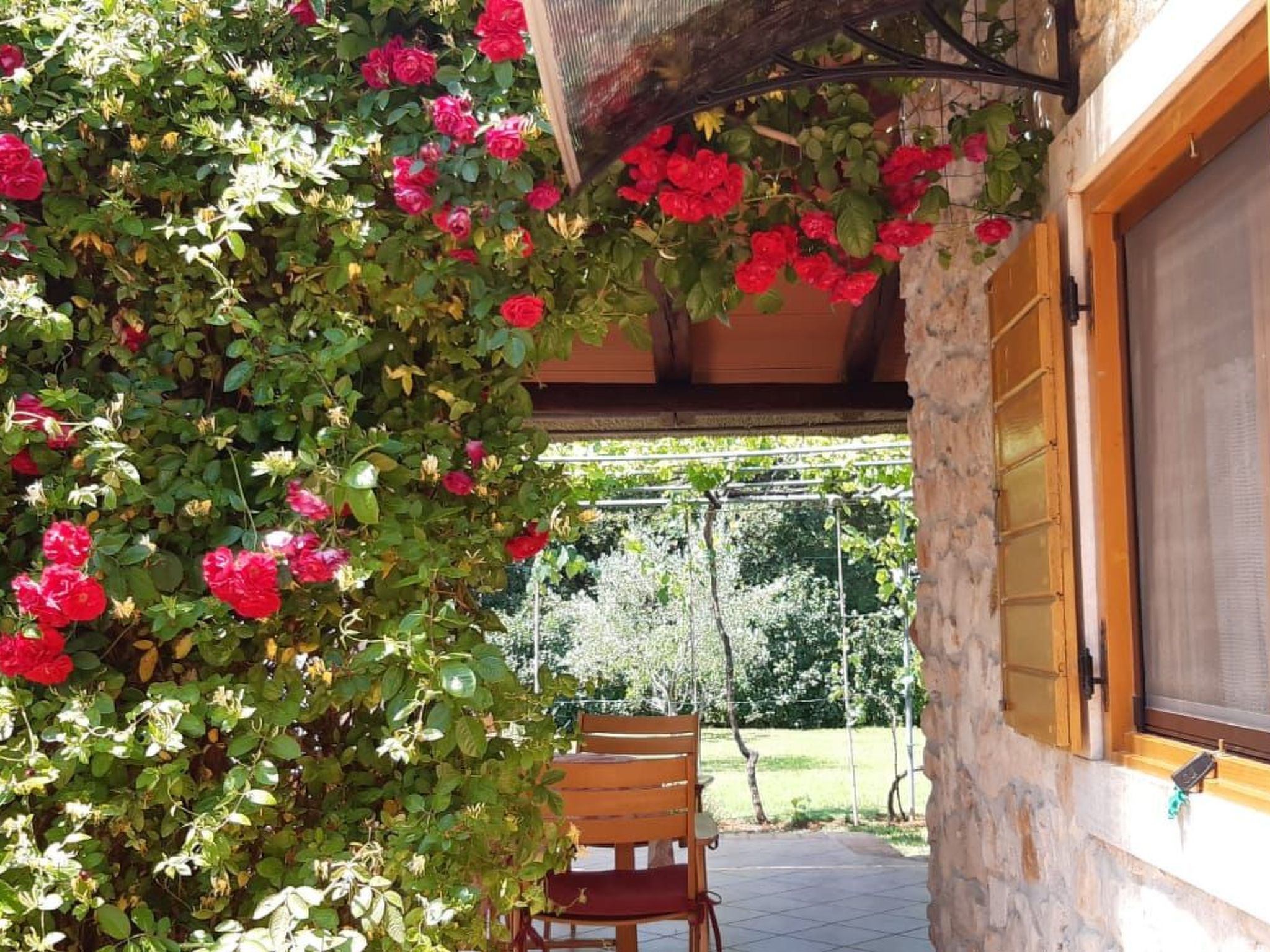 Mit schönem Garten und Sonnenterrasse-Binnen