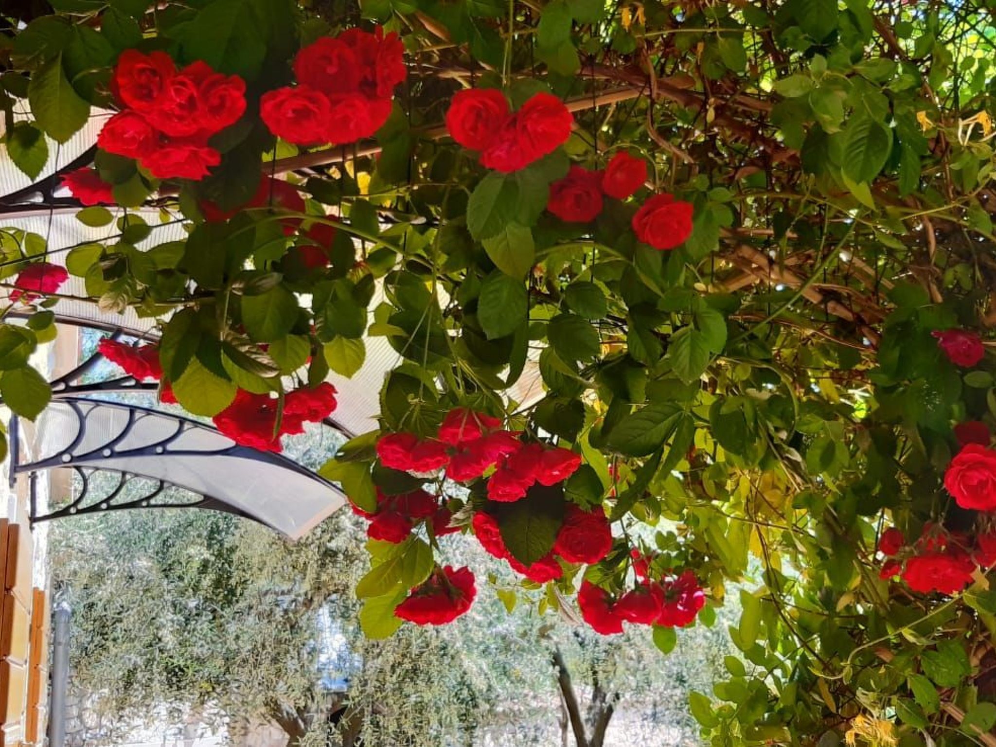 Mit schönem Garten und Sonnenterrasse-Binnen