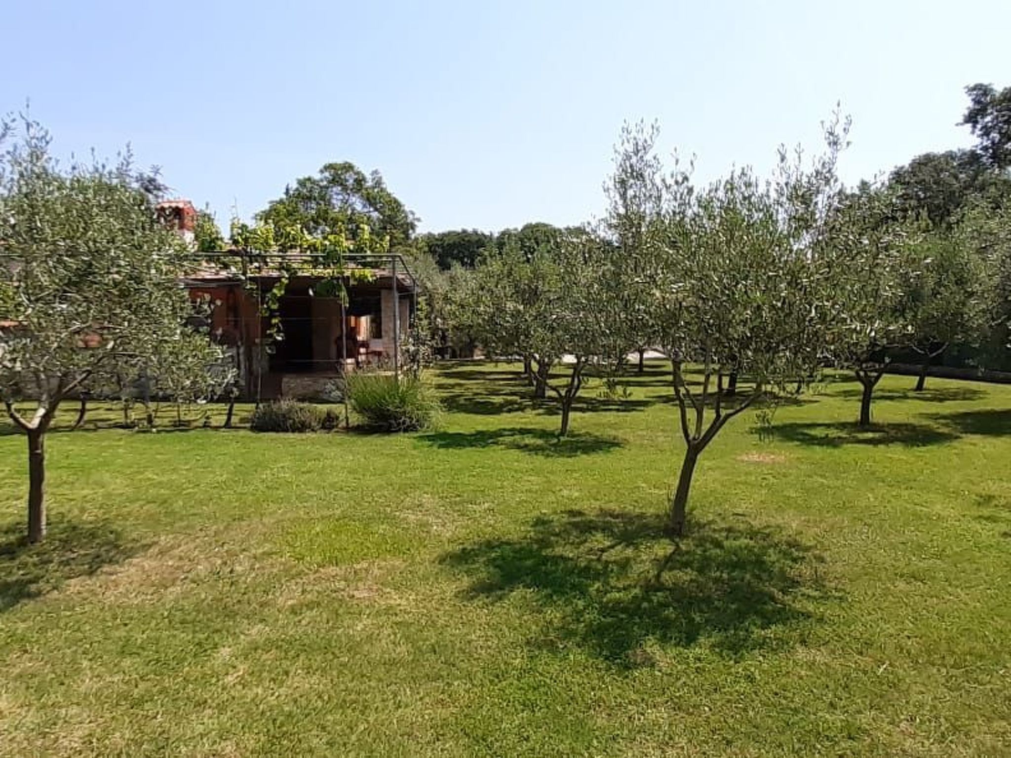 Mit schönem Garten und Sonnenterrasse-Binnen