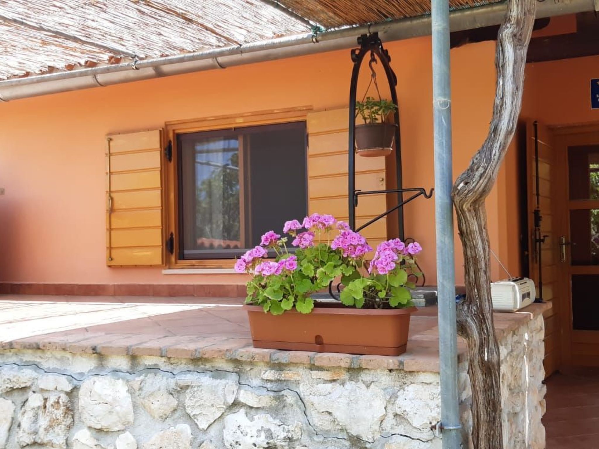 Mit schönem Garten und Sonnenterrasse-Binnen