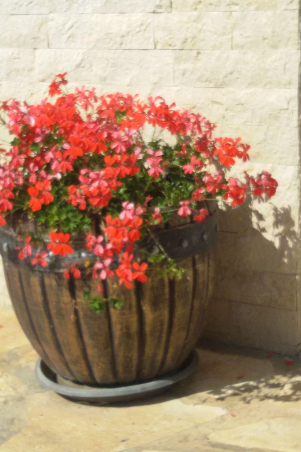 Direkt am Meer liegendes Apartment mit Garten-Binnen