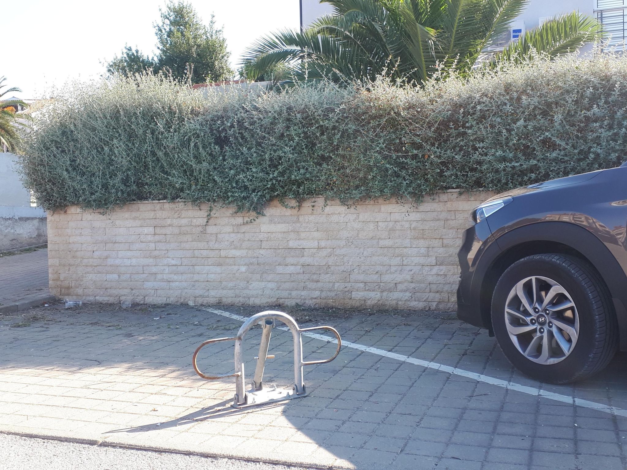 Direkt am Meer liegendes Apartment mit Garten-Binnen